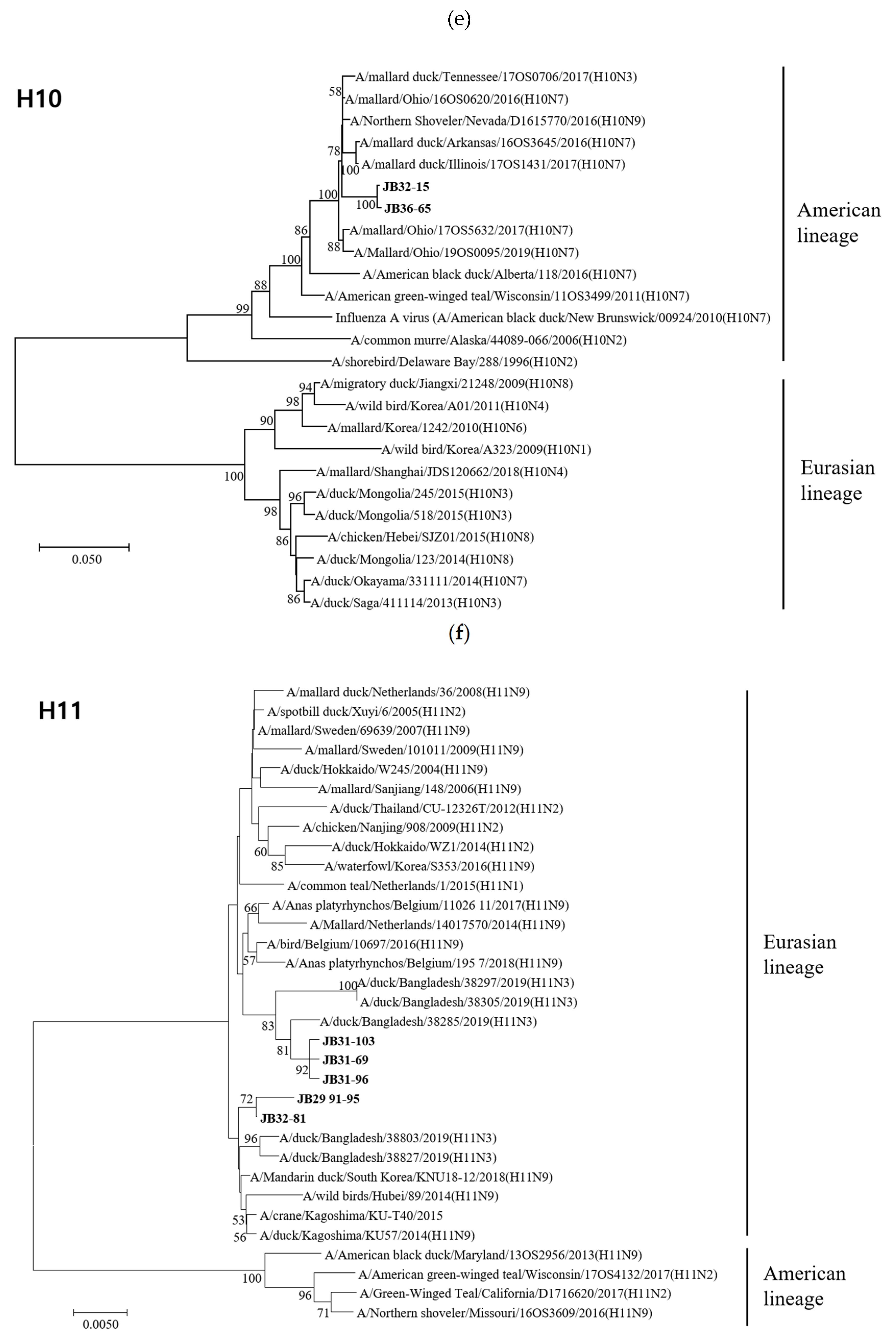 Viruses 13 00381 g002c Viruses 13 00381 g002c