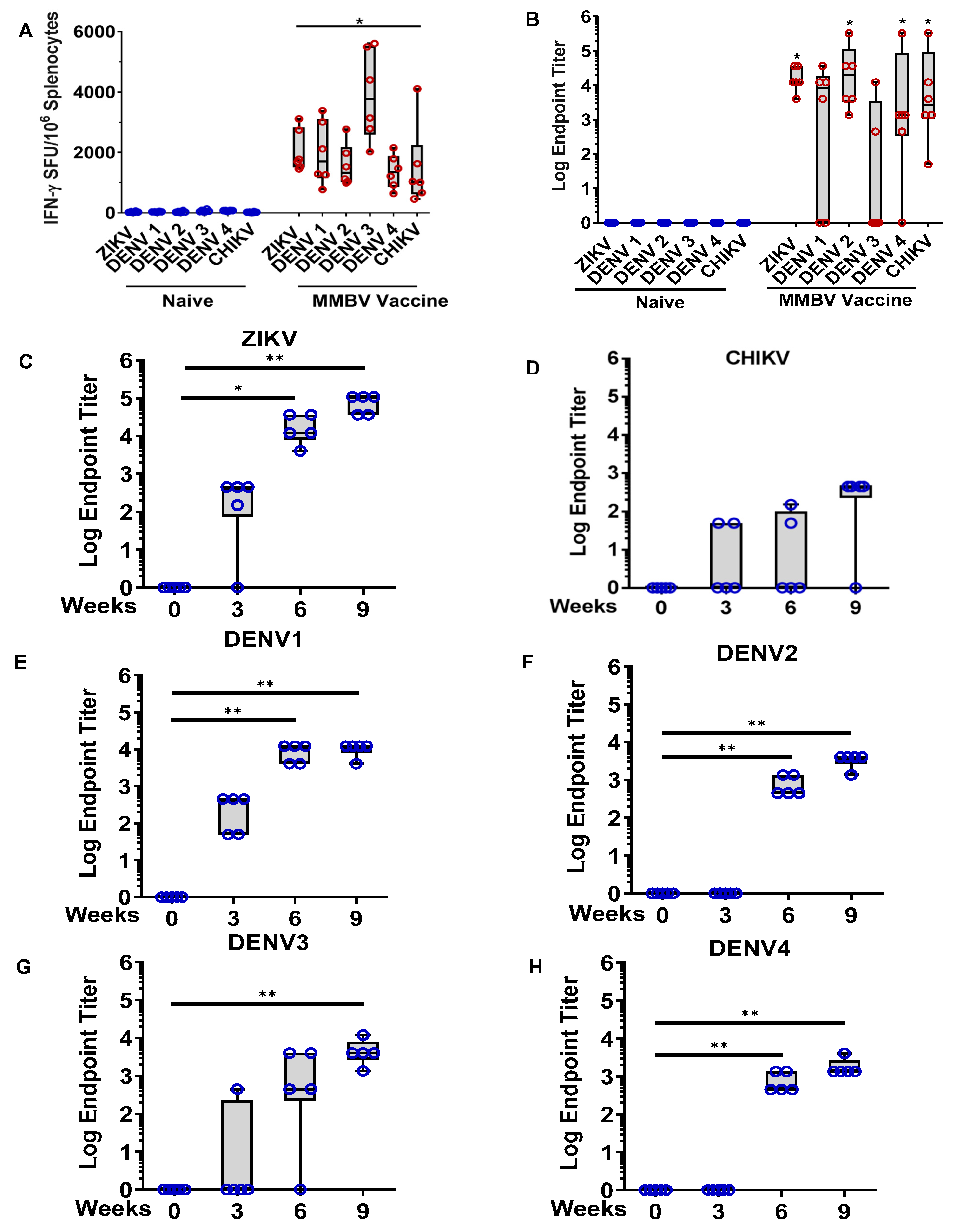 Viruses 13 00382 g003 Viruses 13 00382 g003