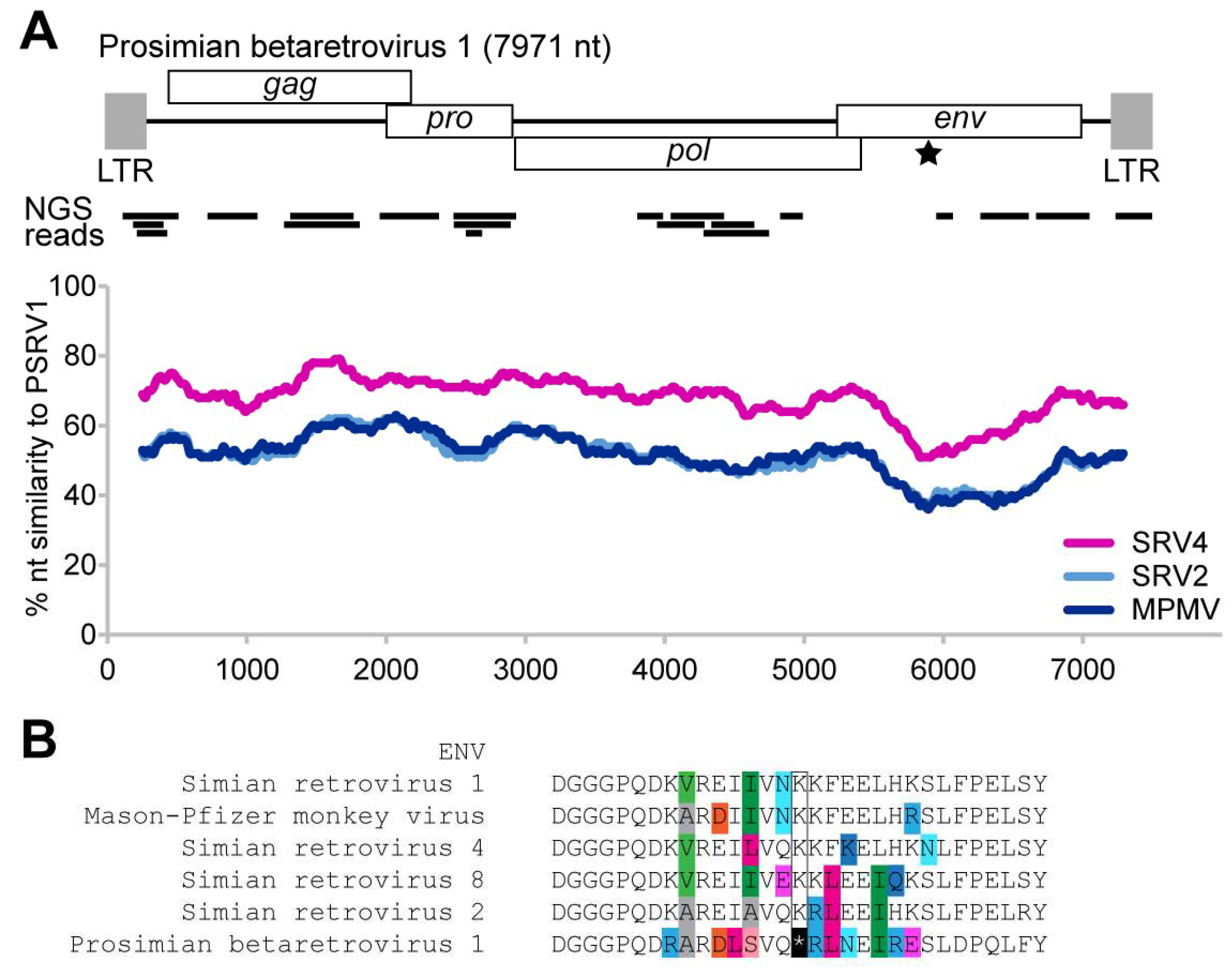 Viruses 13 00383 g001
