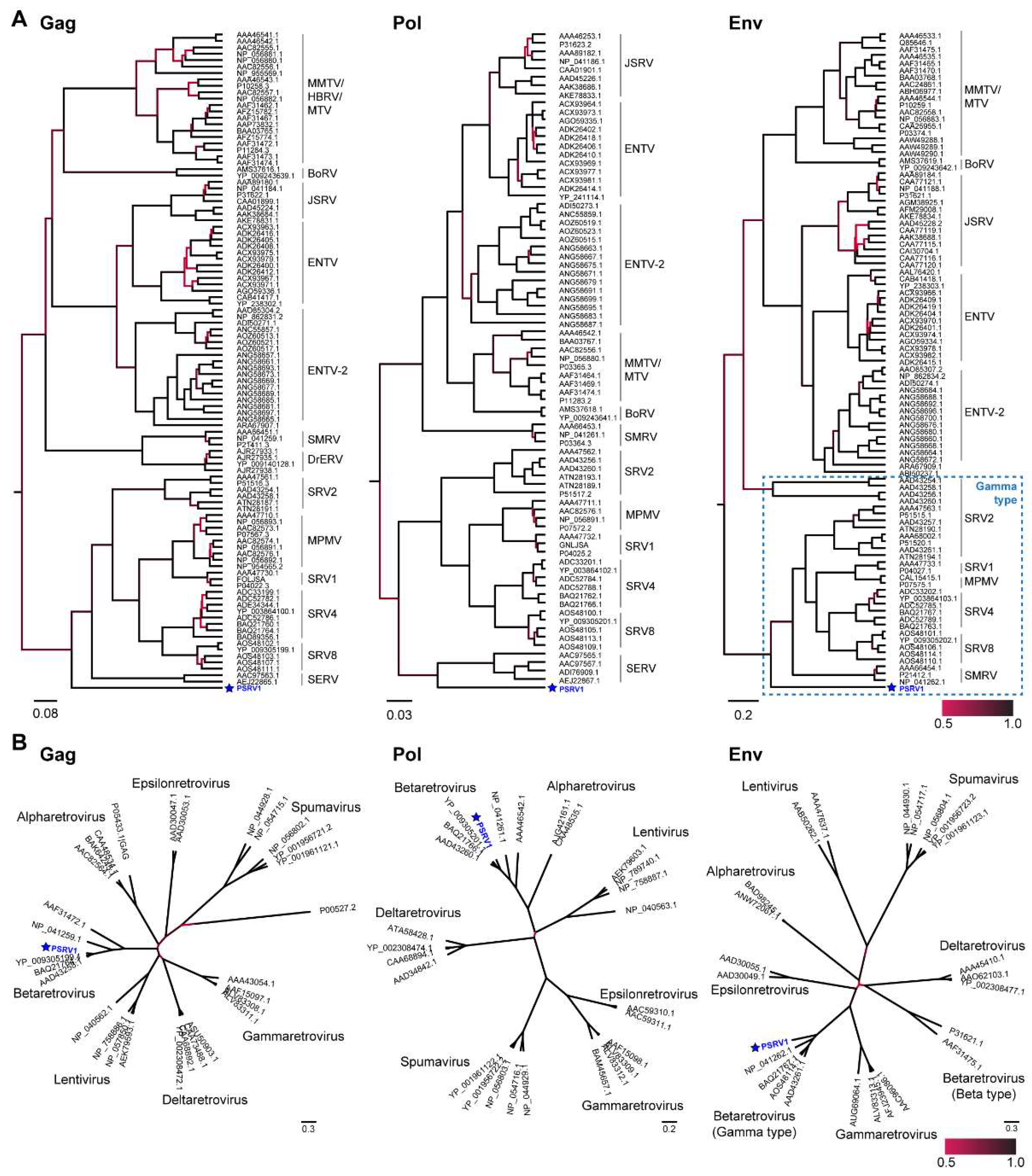Viruses 13 00383 g002