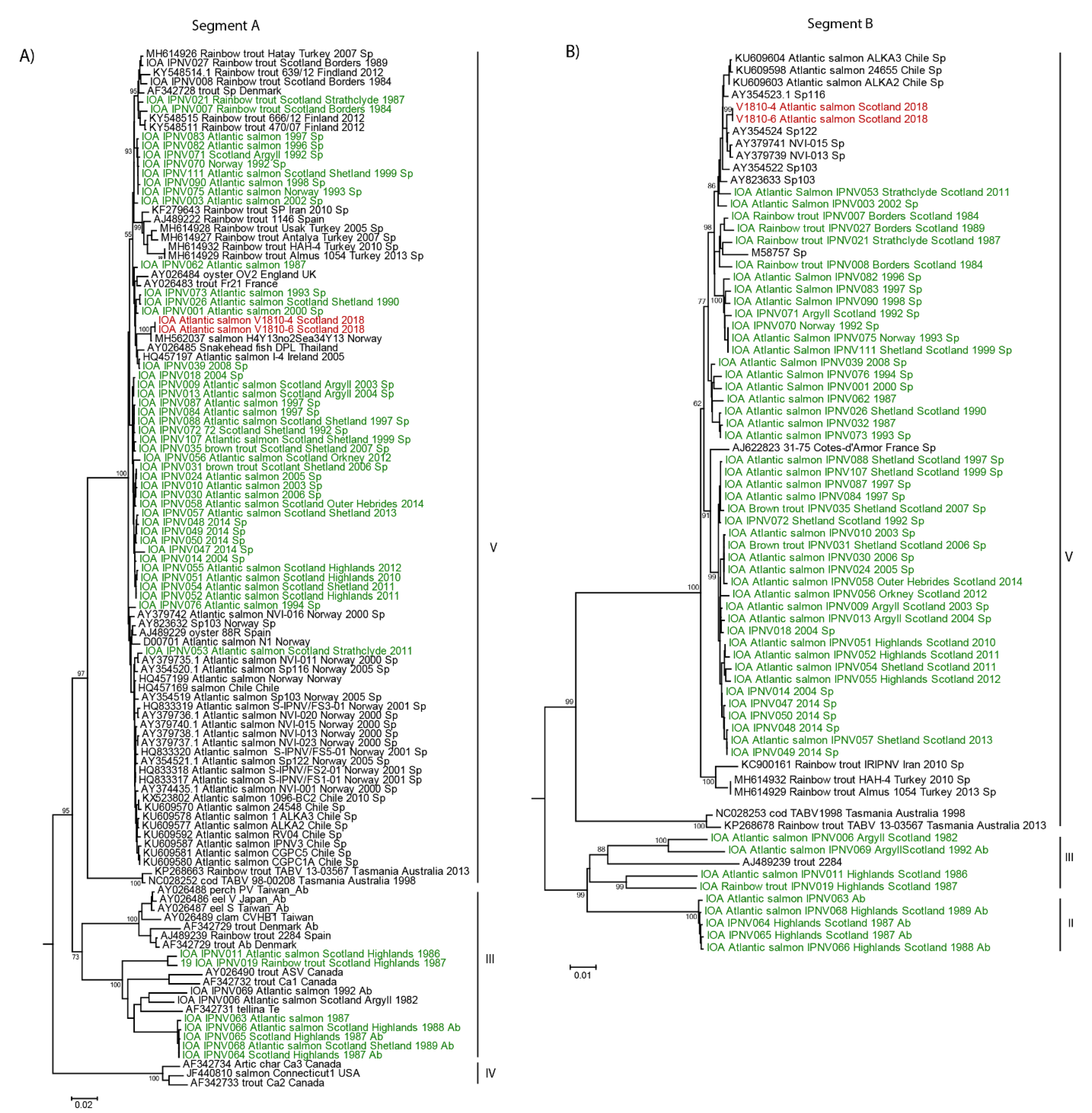 Viruses 13 00385 g001 Viruses 13 00385 g001