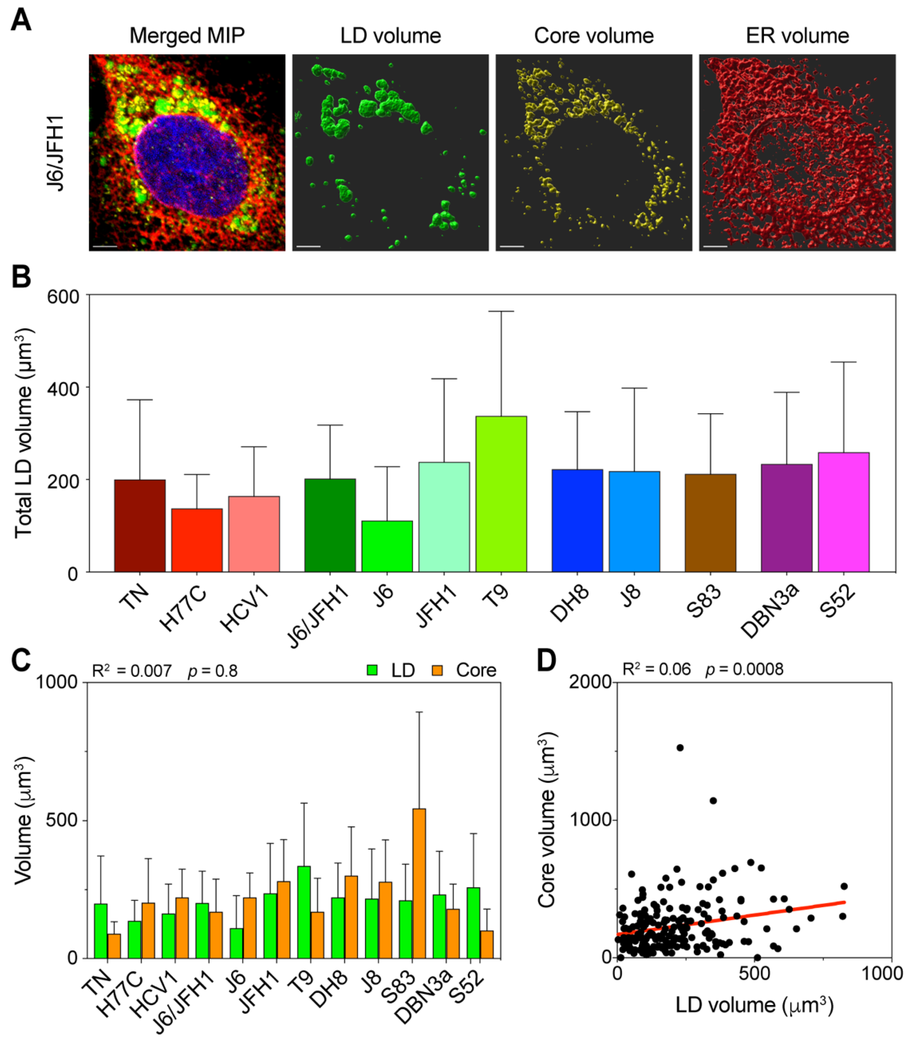 Viruses 13 00389 g004 Viruses 13 00389 g004
