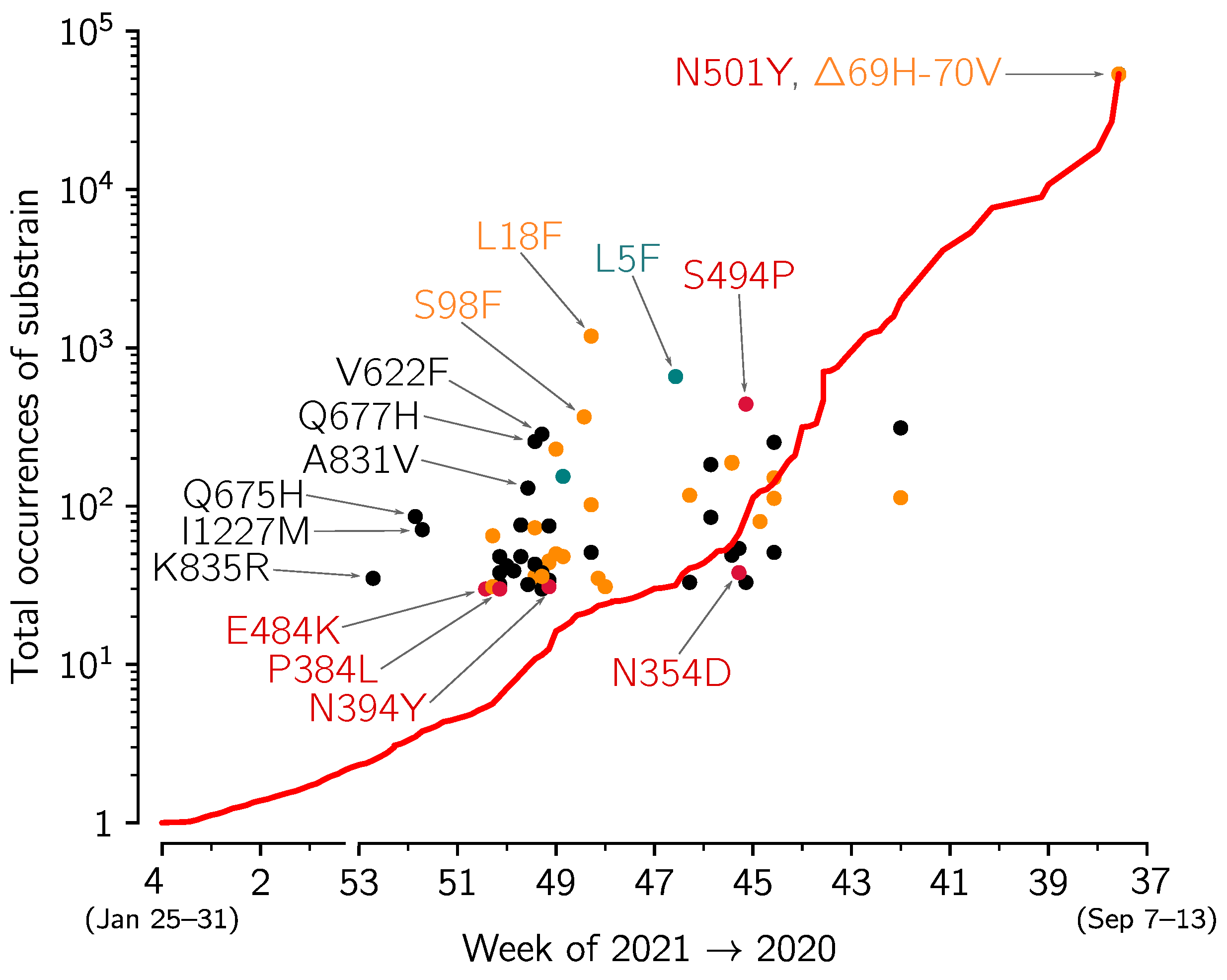 Viruses 13 00392 g006
