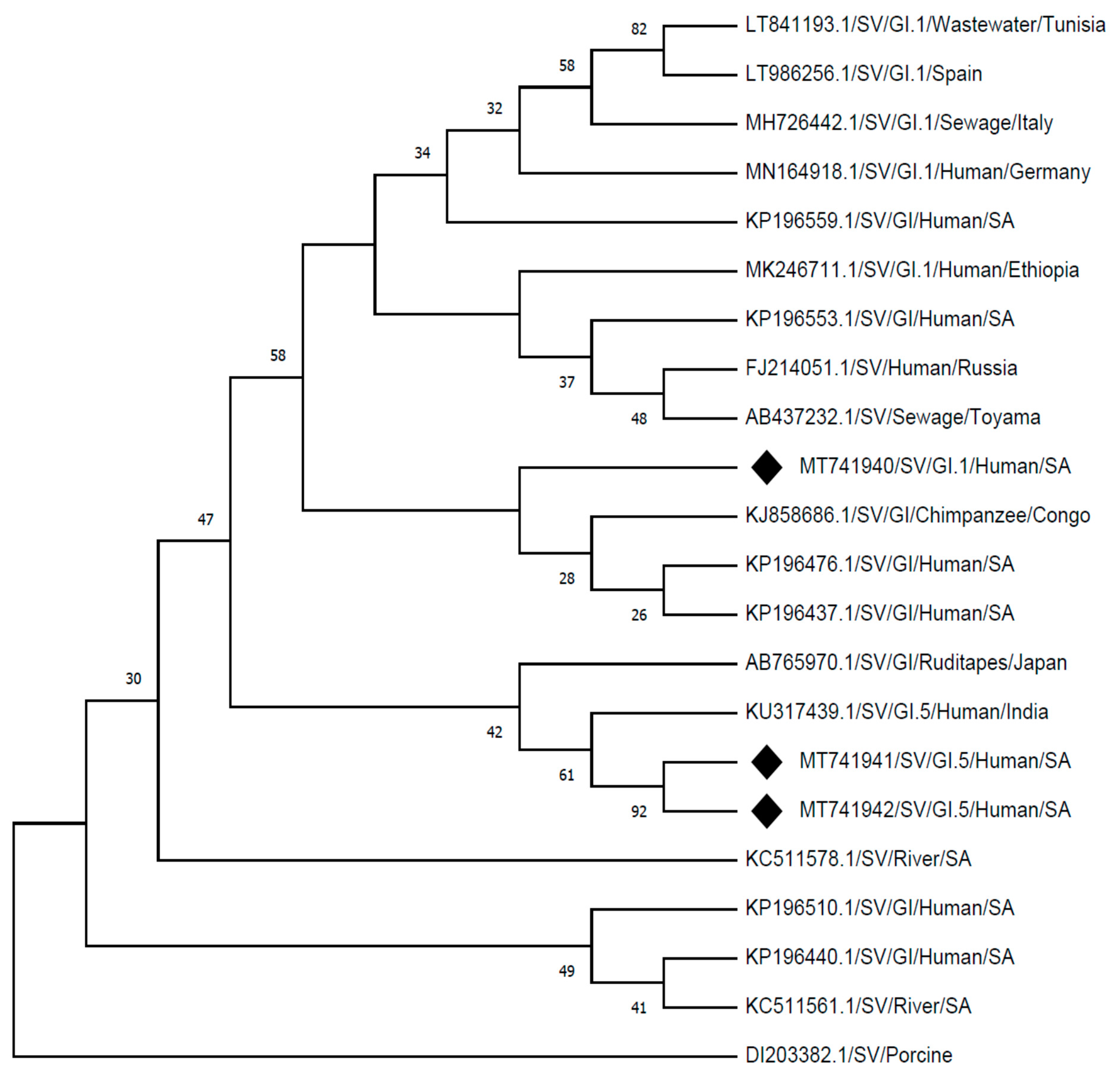 Viruses 13 00393 g002