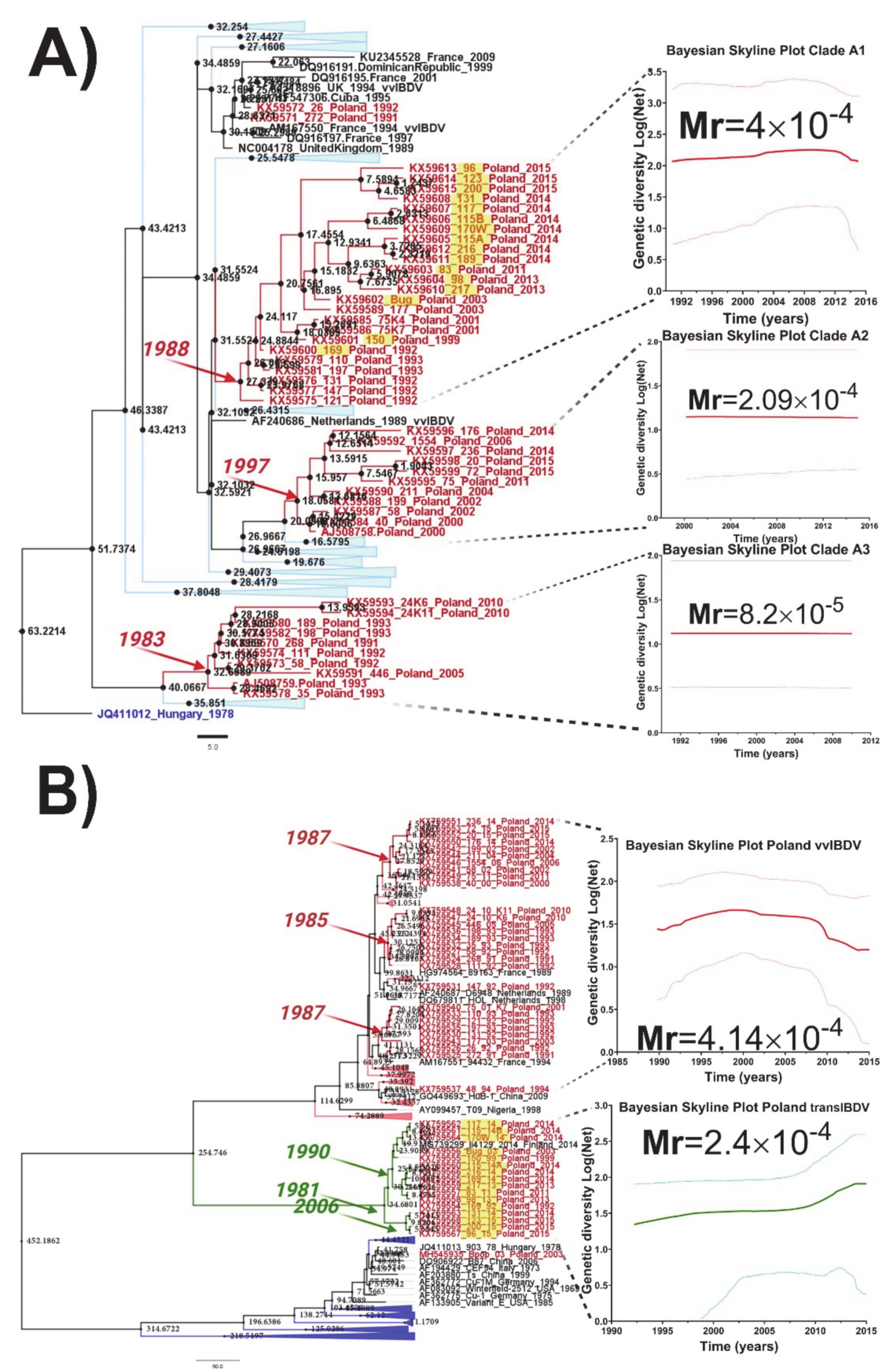 Viruses 13 00396 g002 Viruses 13 00396 g002