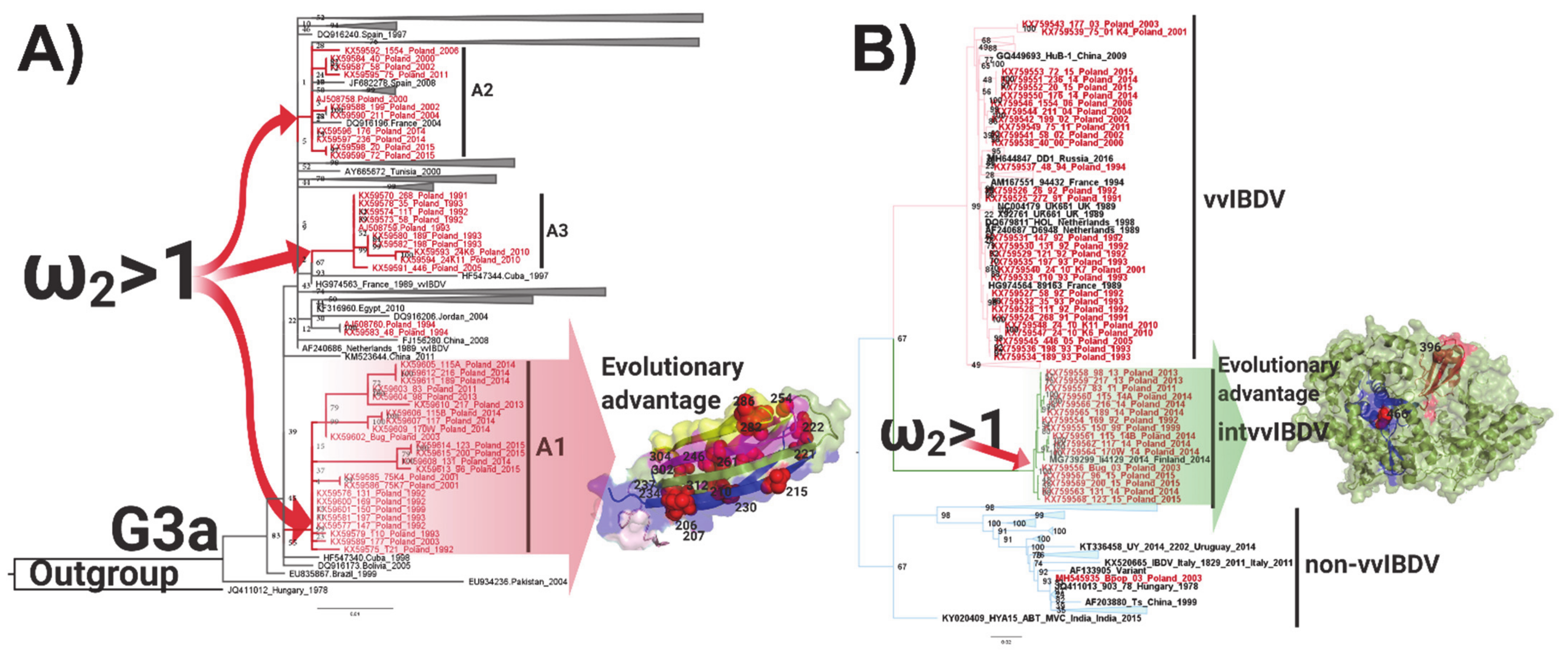 Viruses 13 00396 g003 Viruses 13 00396 g003