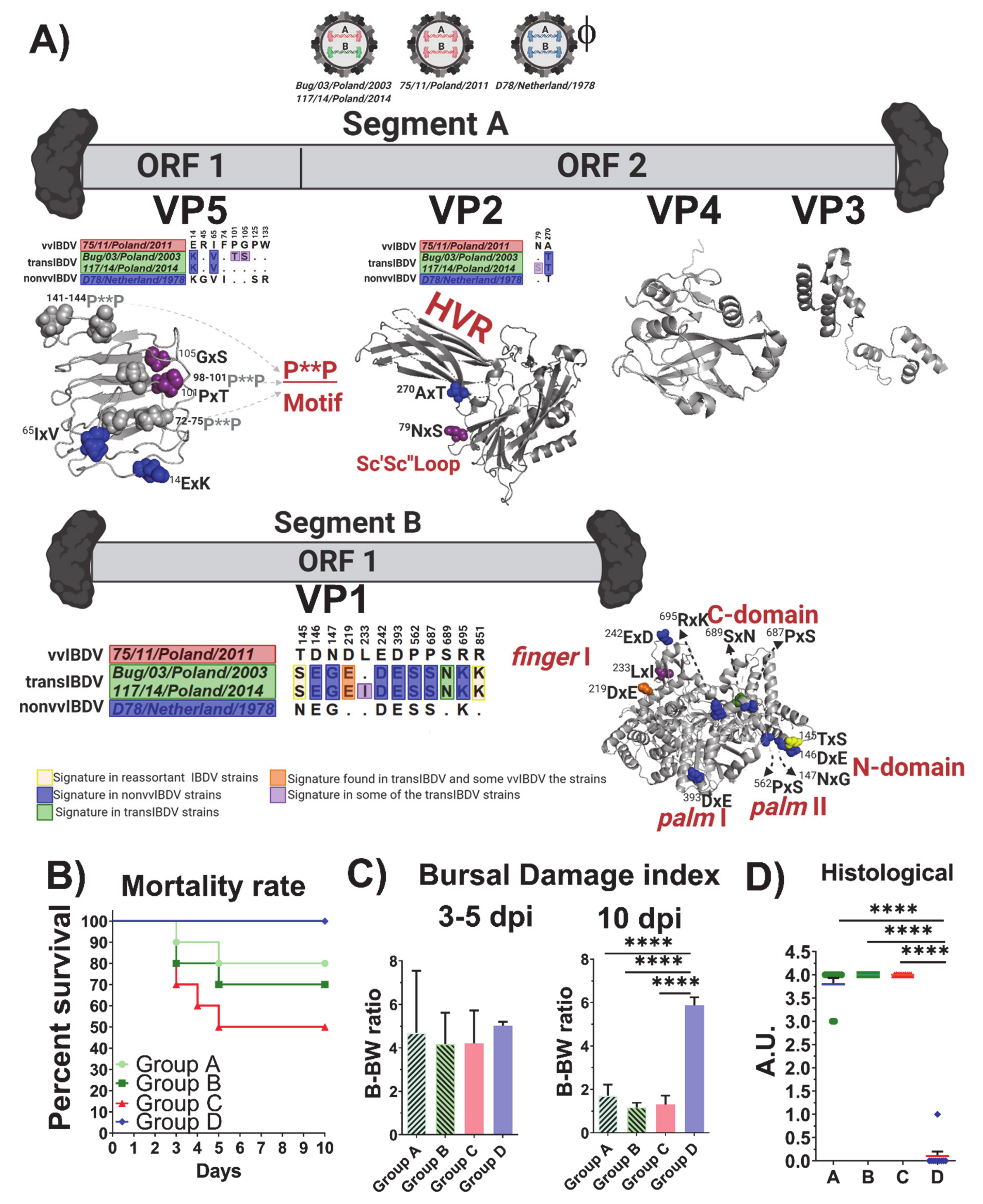 Viruses 13 00396 g005 Viruses 13 00396 g005