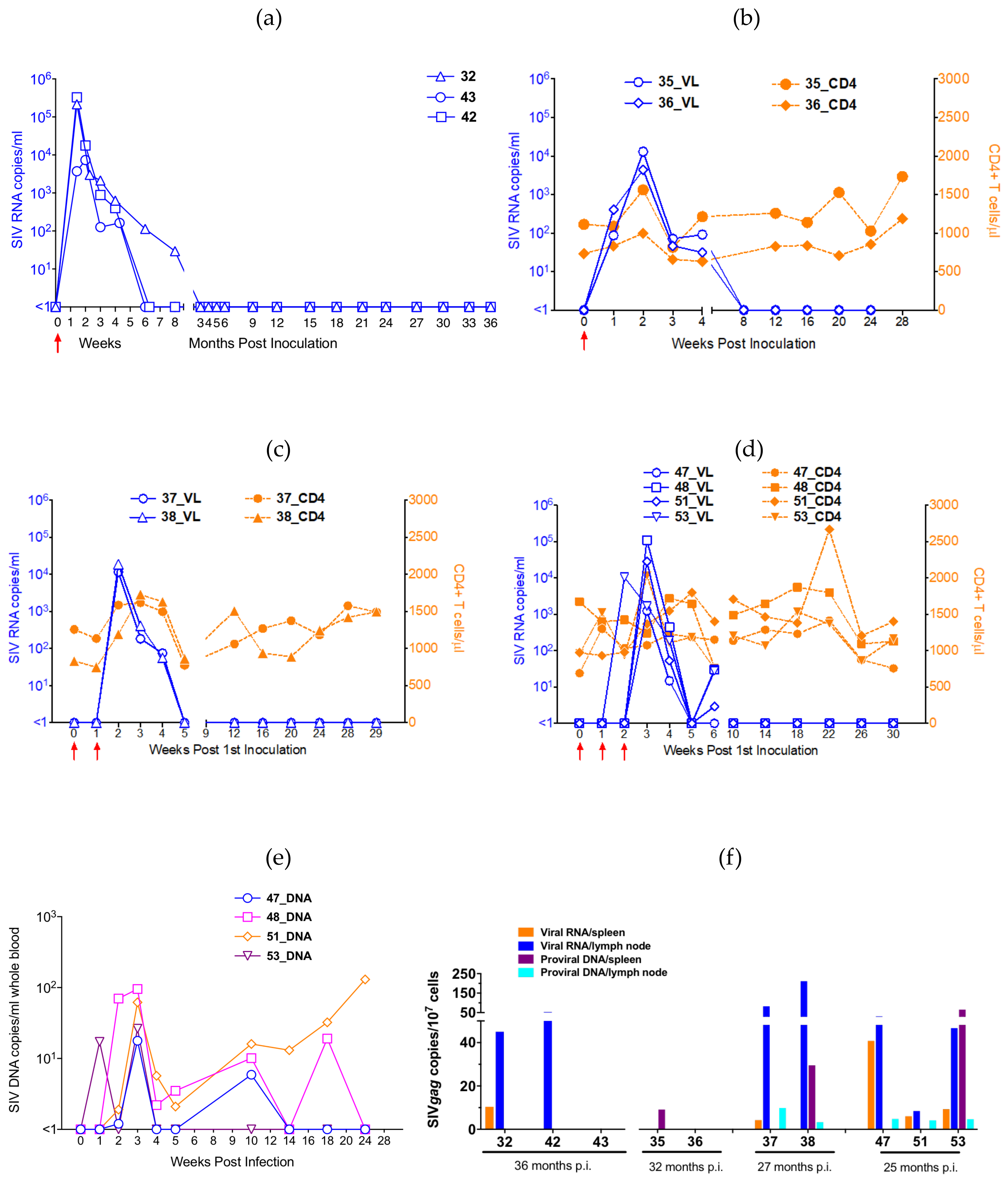 Viruses 13 00397 g002
