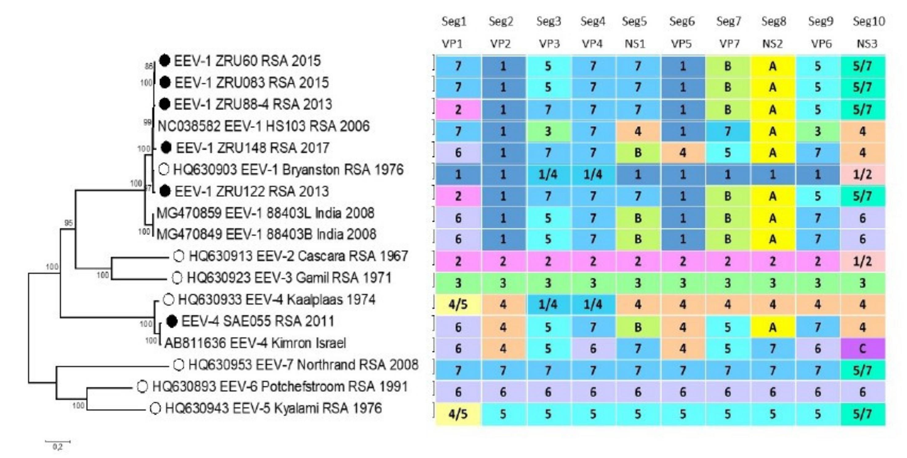 Viruses 13 00398 g003