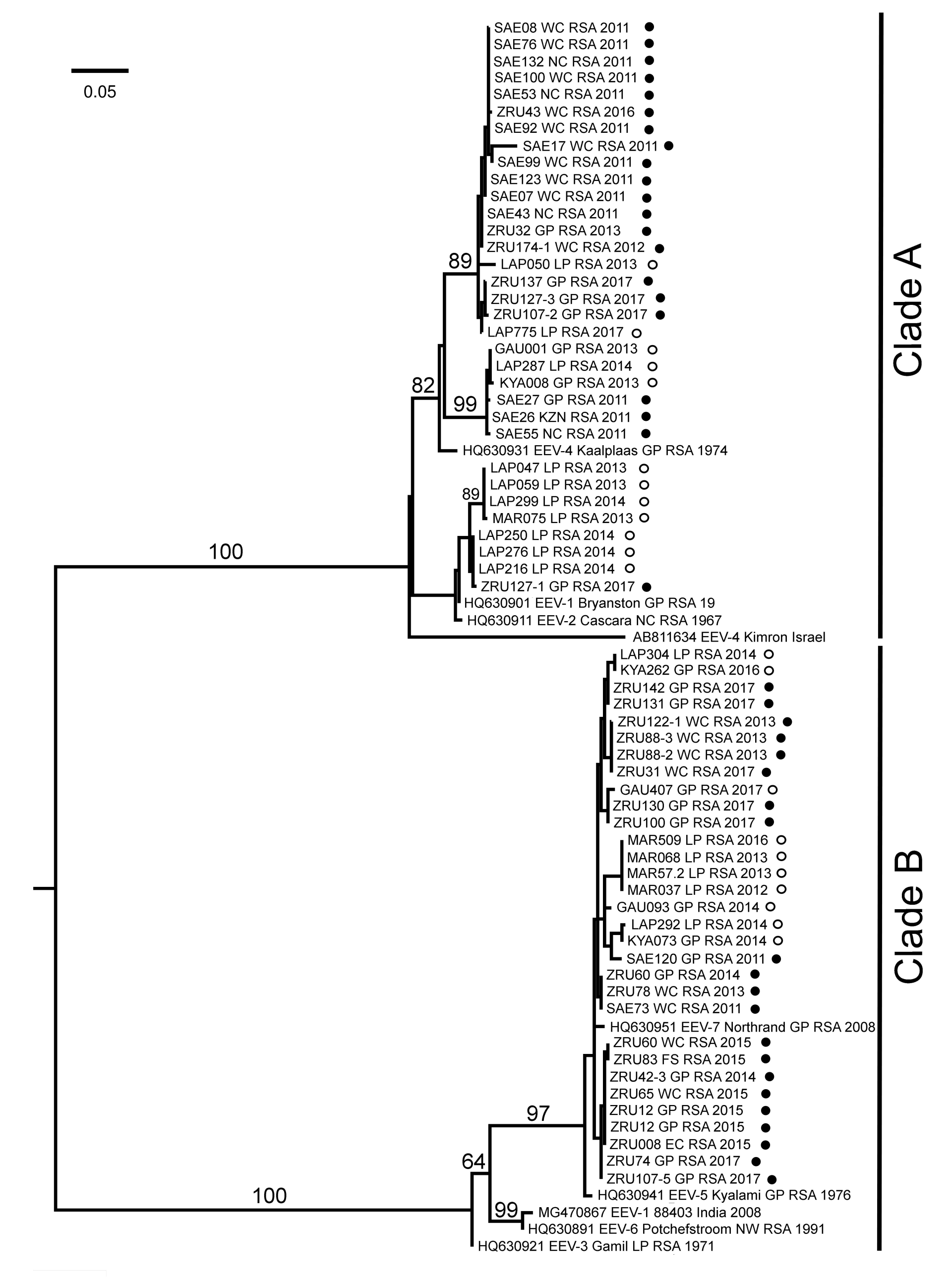 Viruses 13 00398 g004