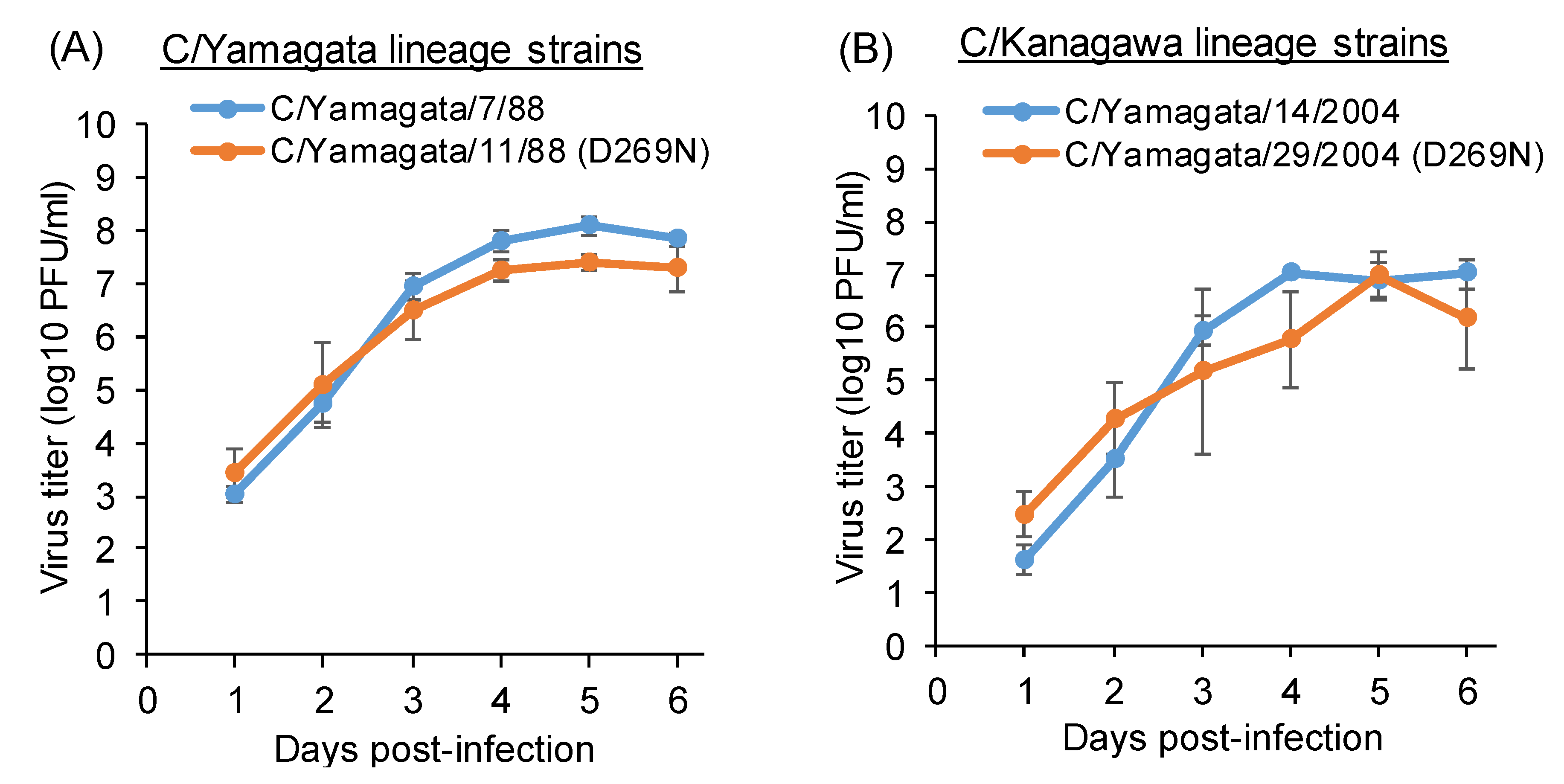 Viruses 13 00401 g006