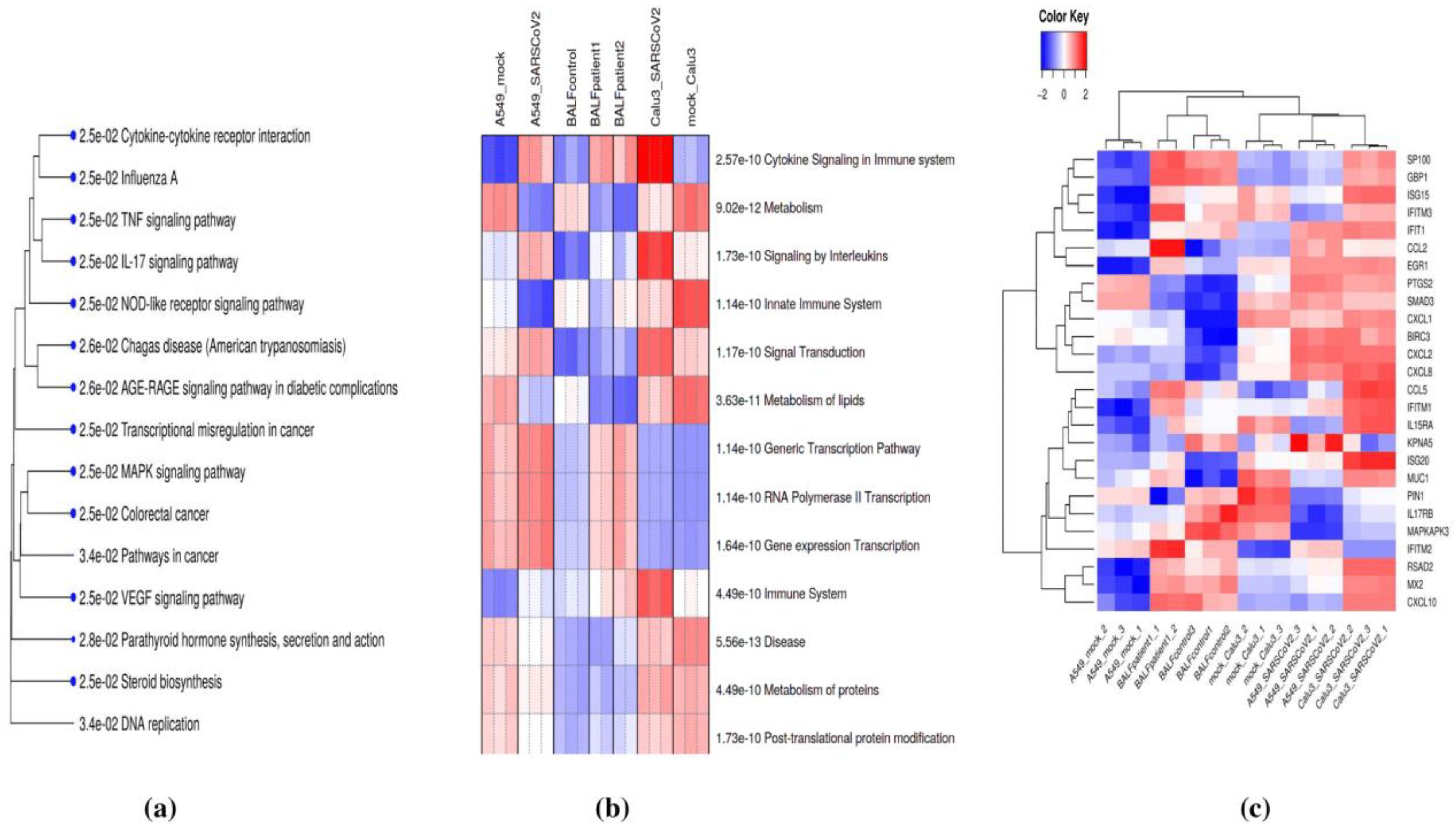 Viruses 13 00402 g003