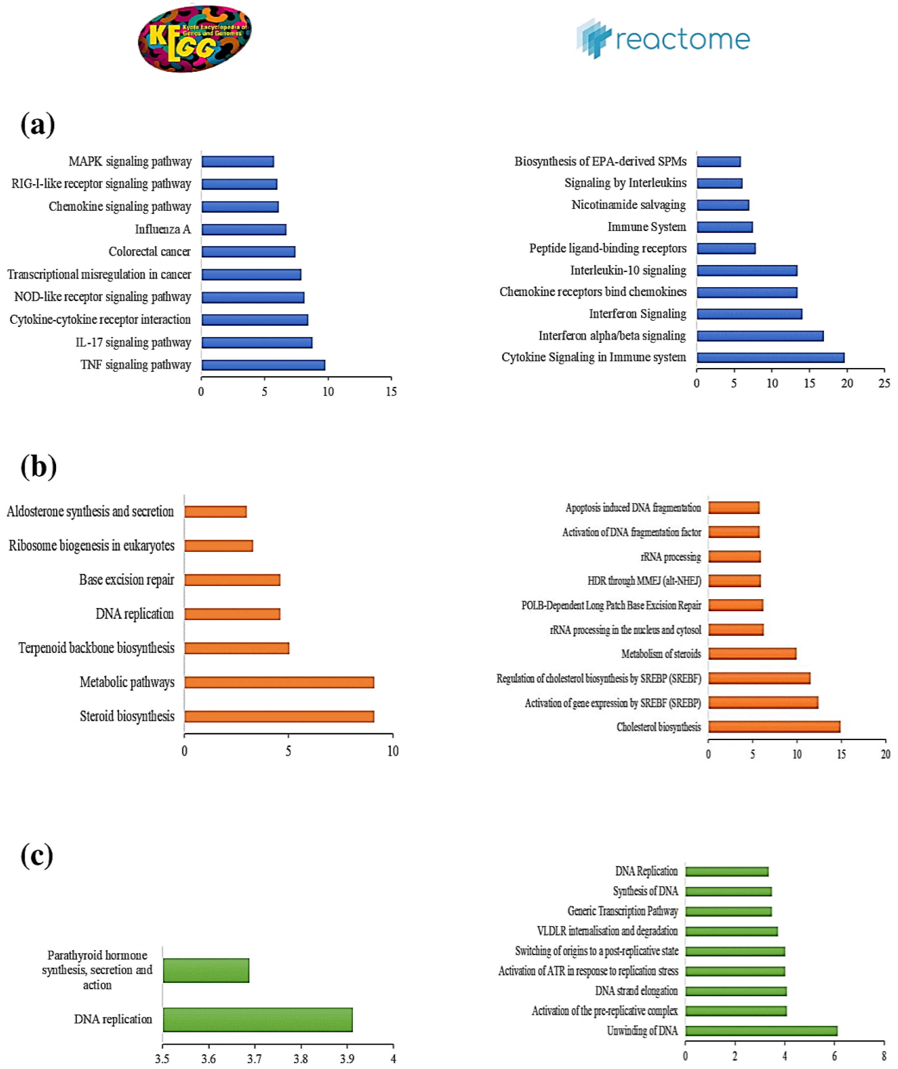 Viruses 13 00402 g005
