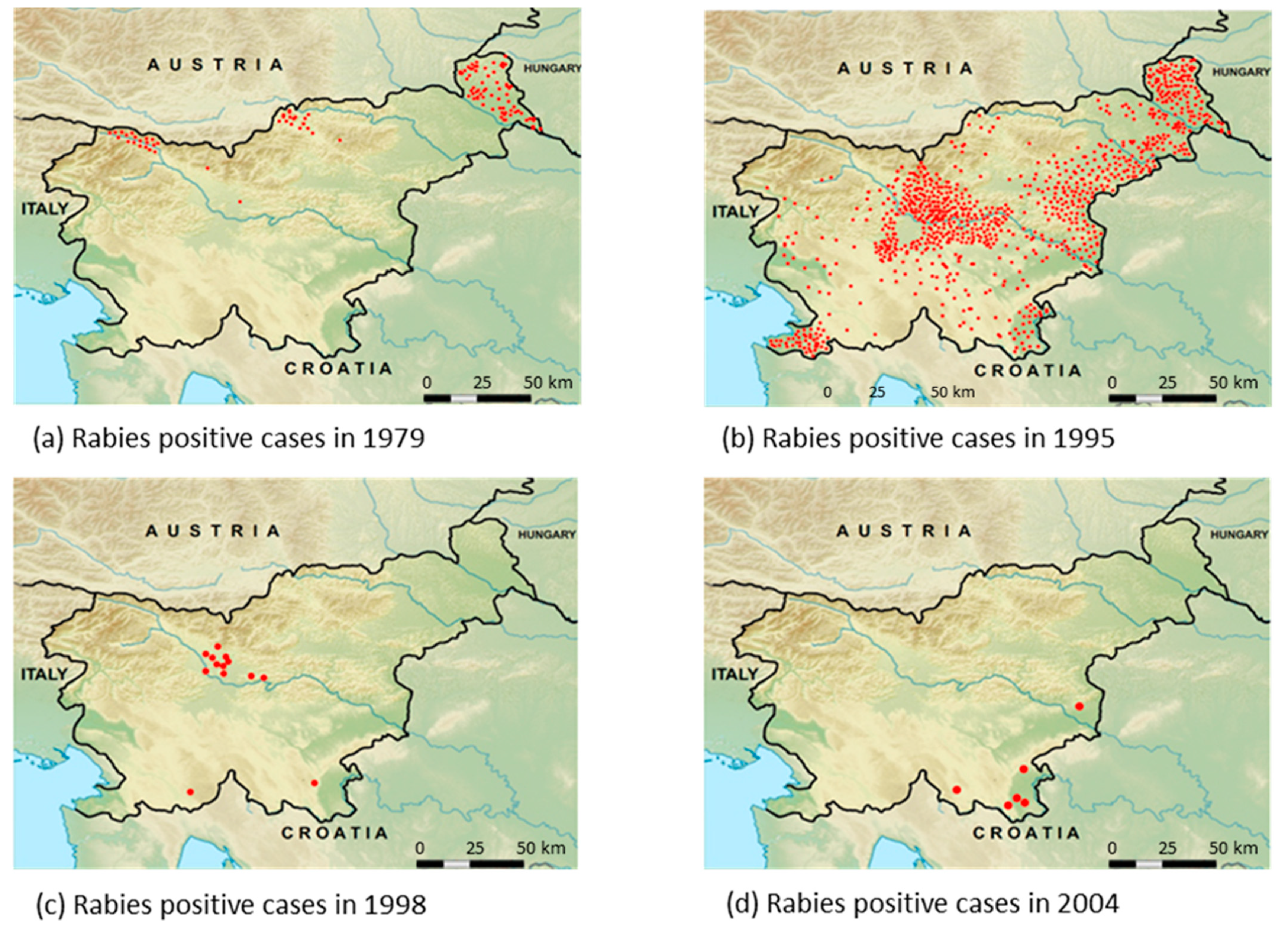 Viruses 13 00405 g003