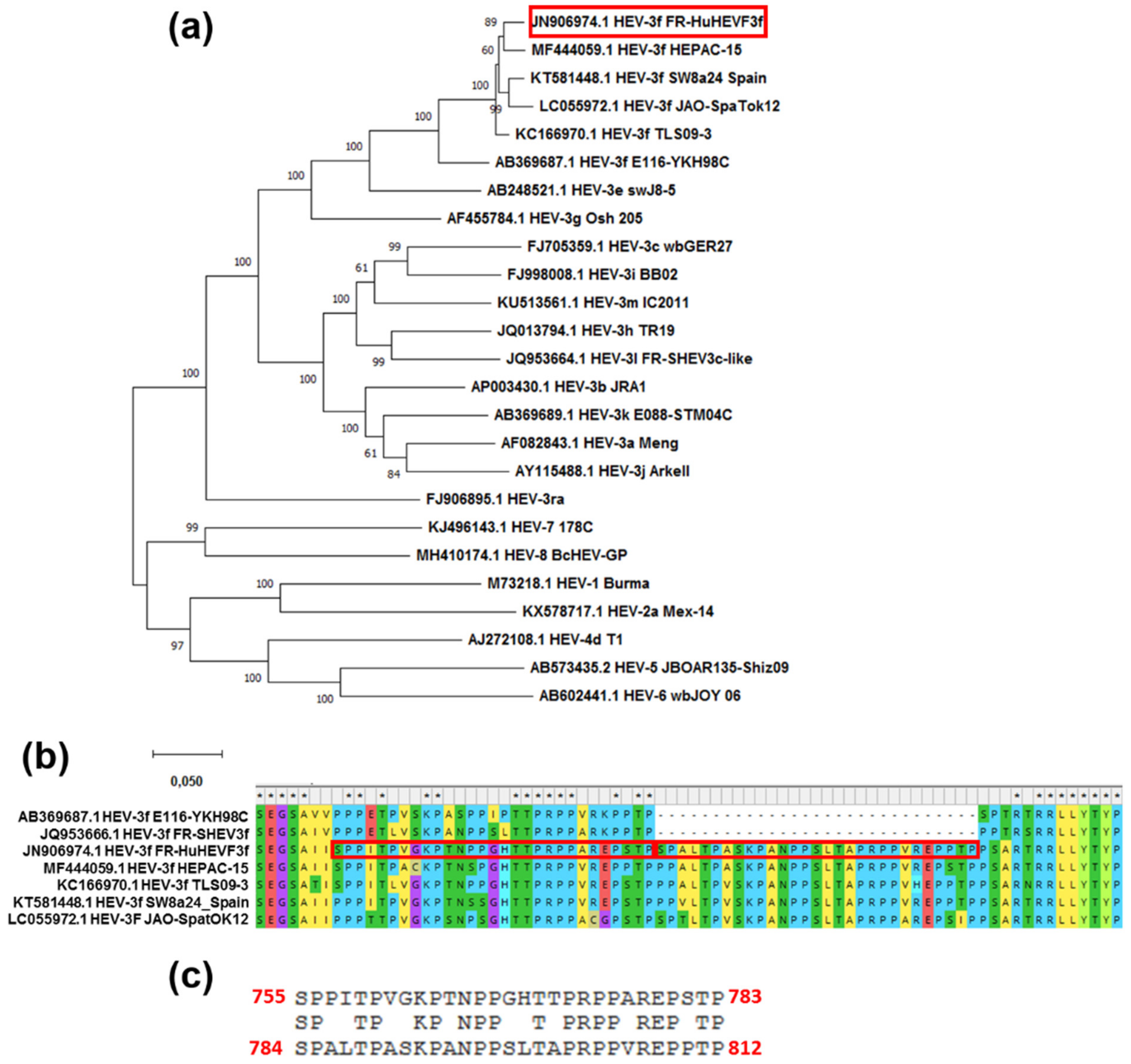 Viruses 13 00406 g005 Viruses 13 00406 g005