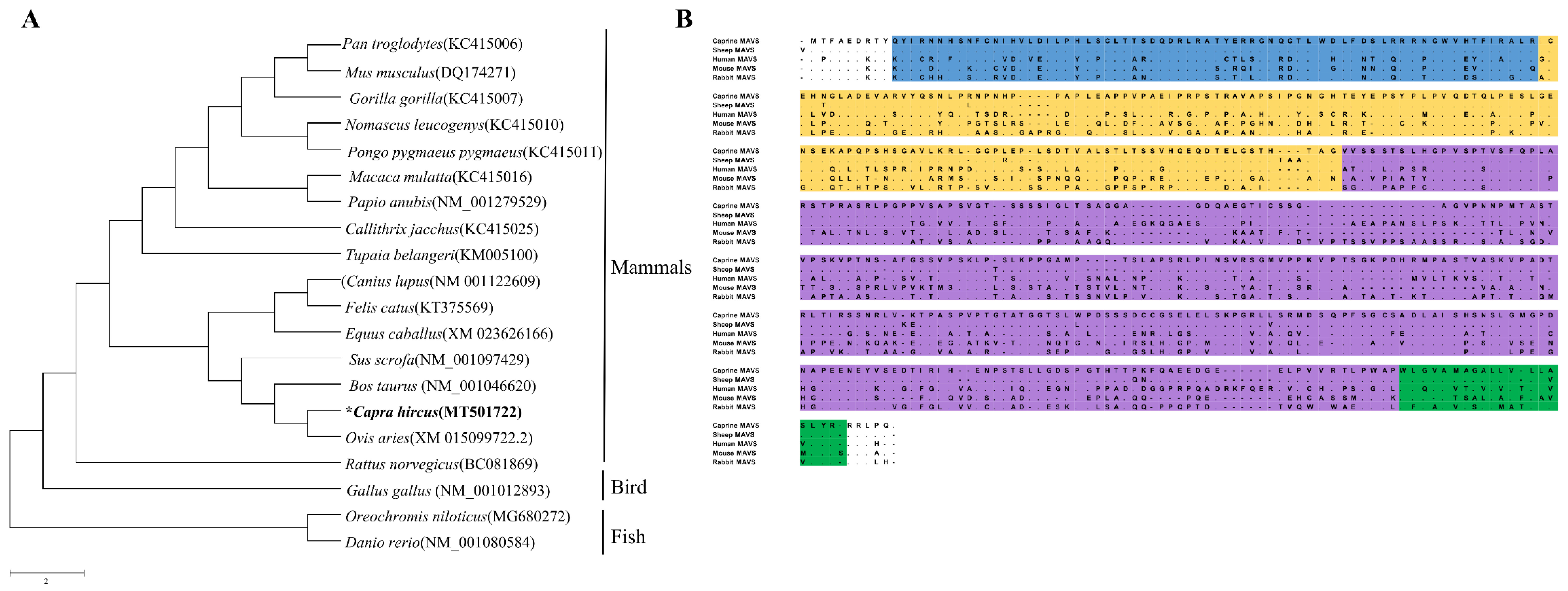 Viruses 13 00409 g001 Viruses 13 00409 g001