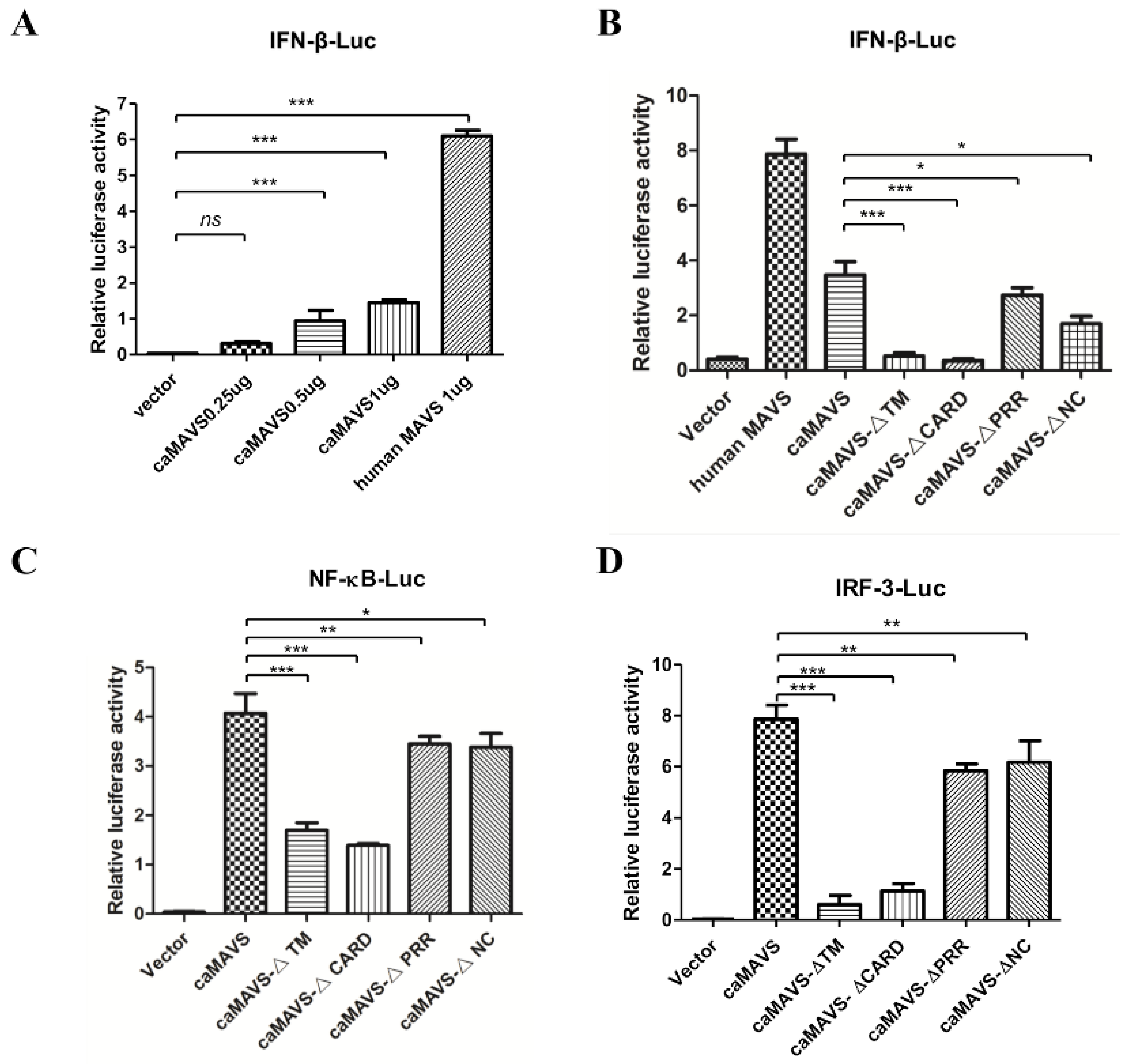 Viruses 13 00409 g004 Viruses 13 00409 g004