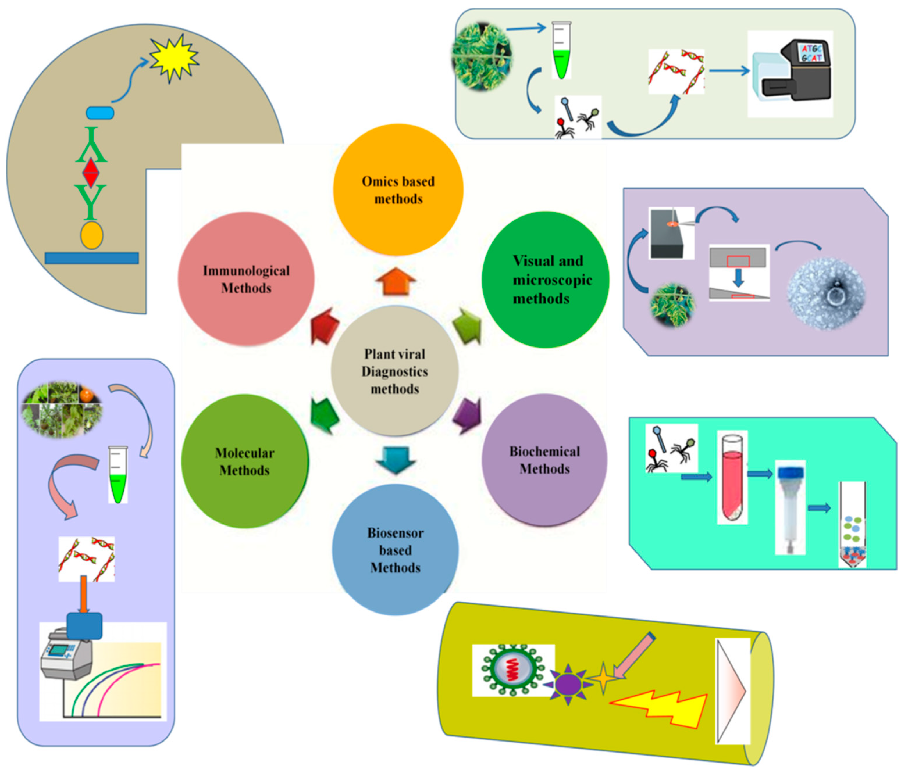 Viruses 13 00412 g001 Viruses 13 00412 g001
