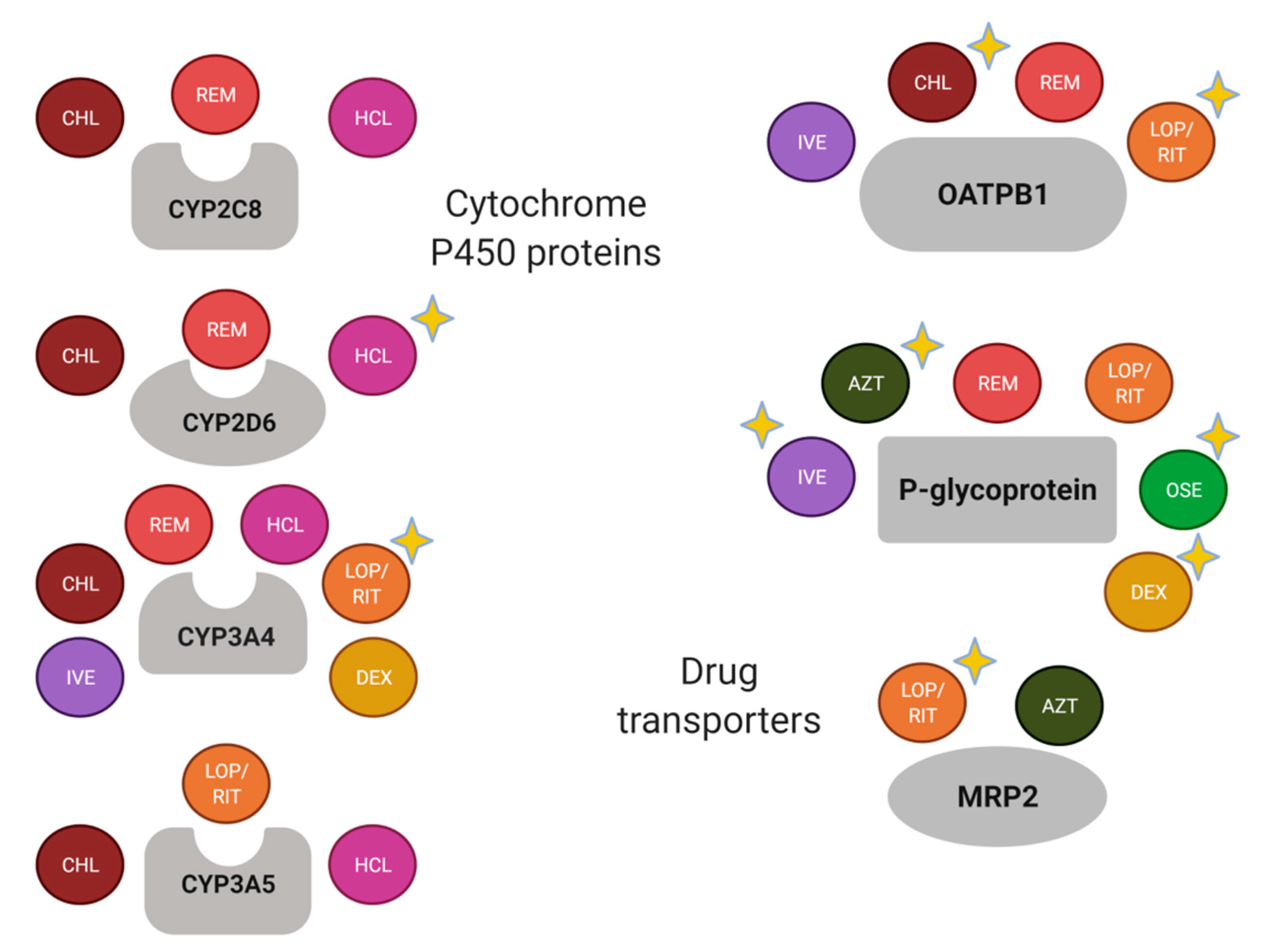 Viruses 13 00413 g002 Viruses 13 00413 g002