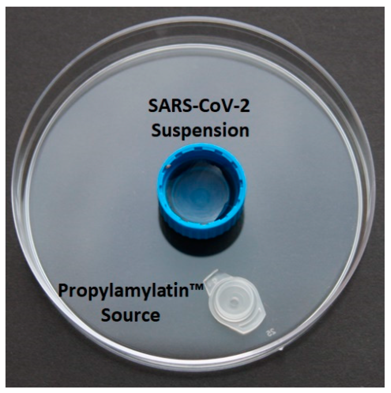 Viruses 13 00415 g001