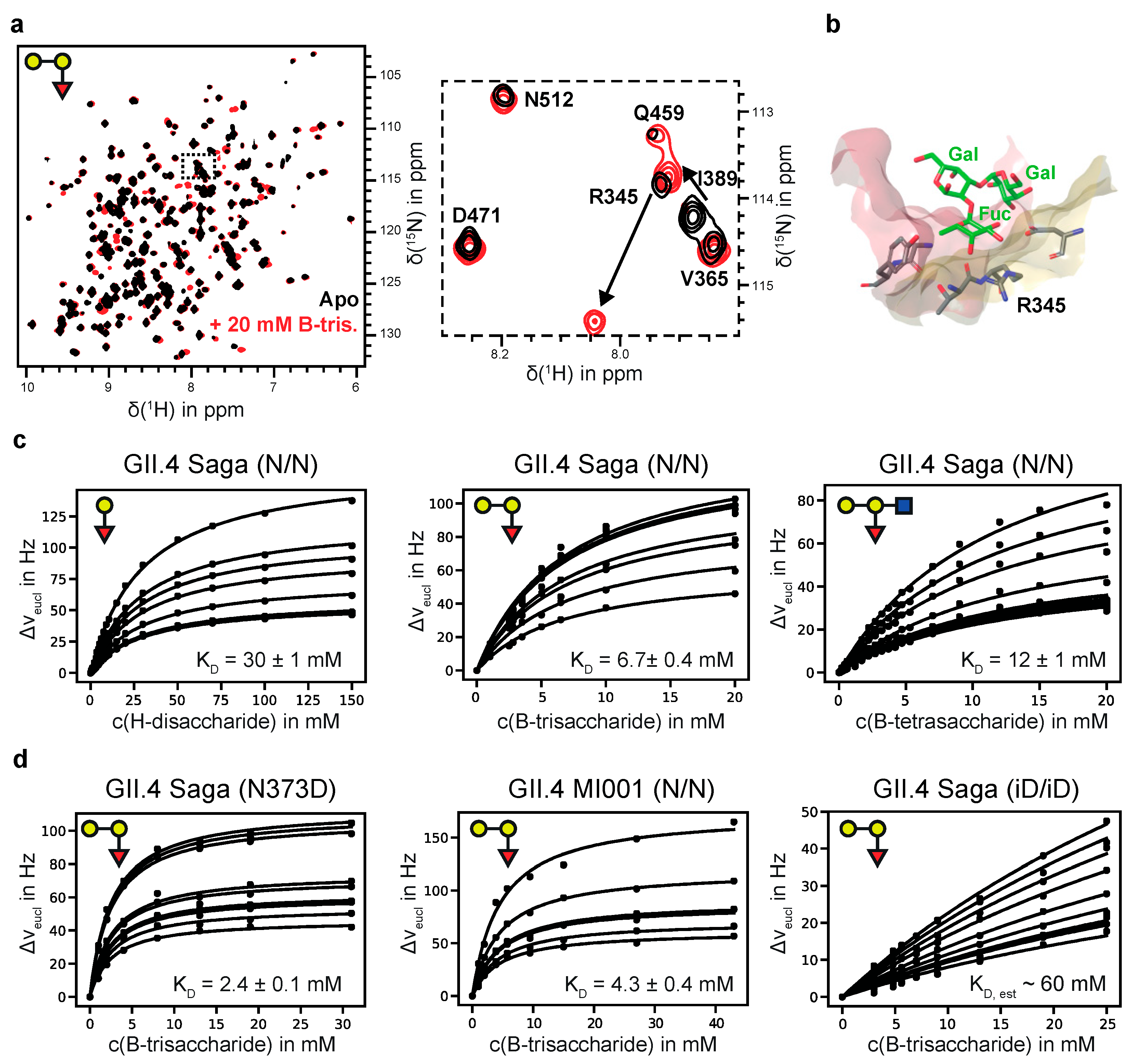 Viruses 13 00416 g001