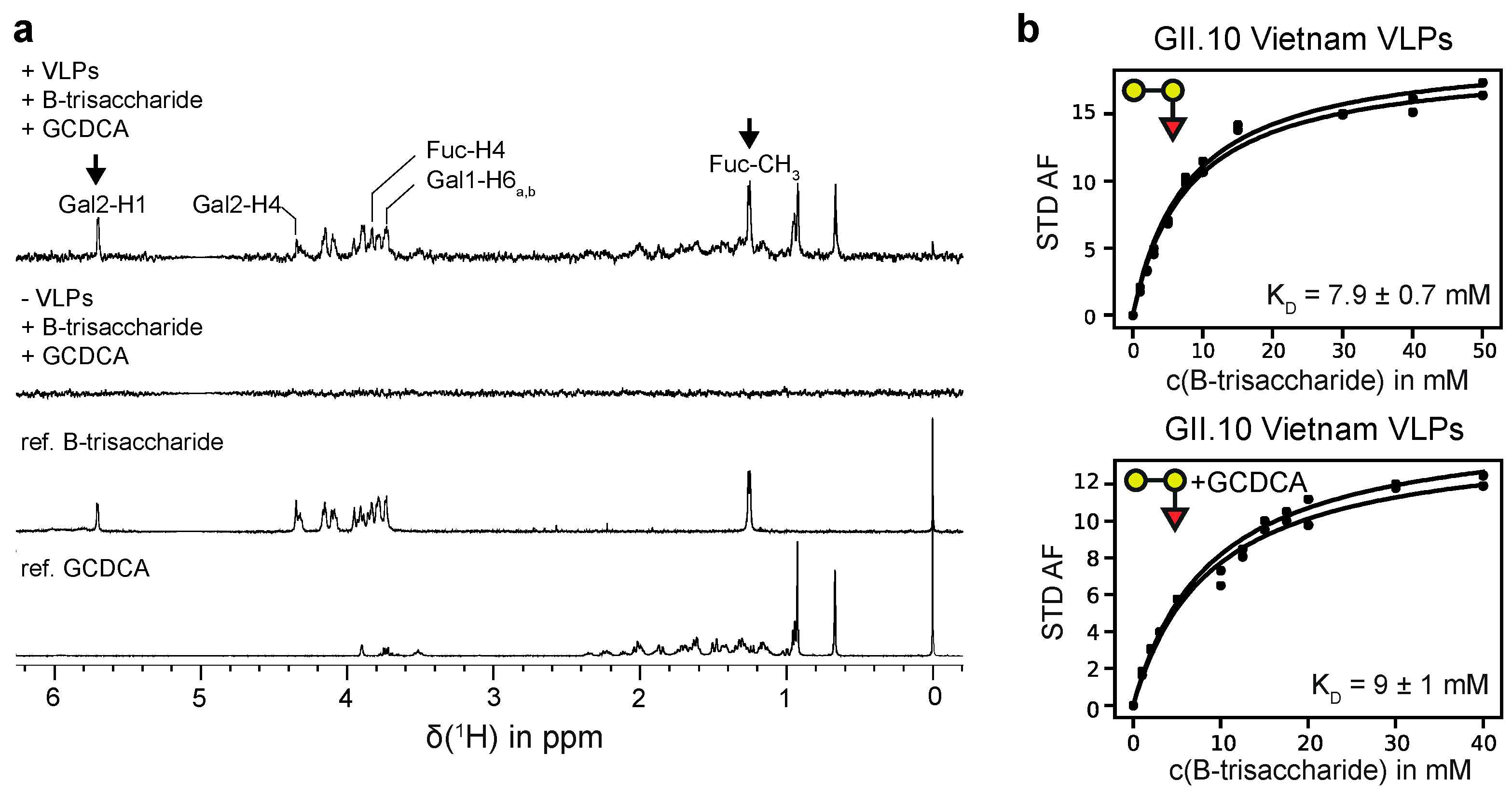 Viruses 13 00416 g002