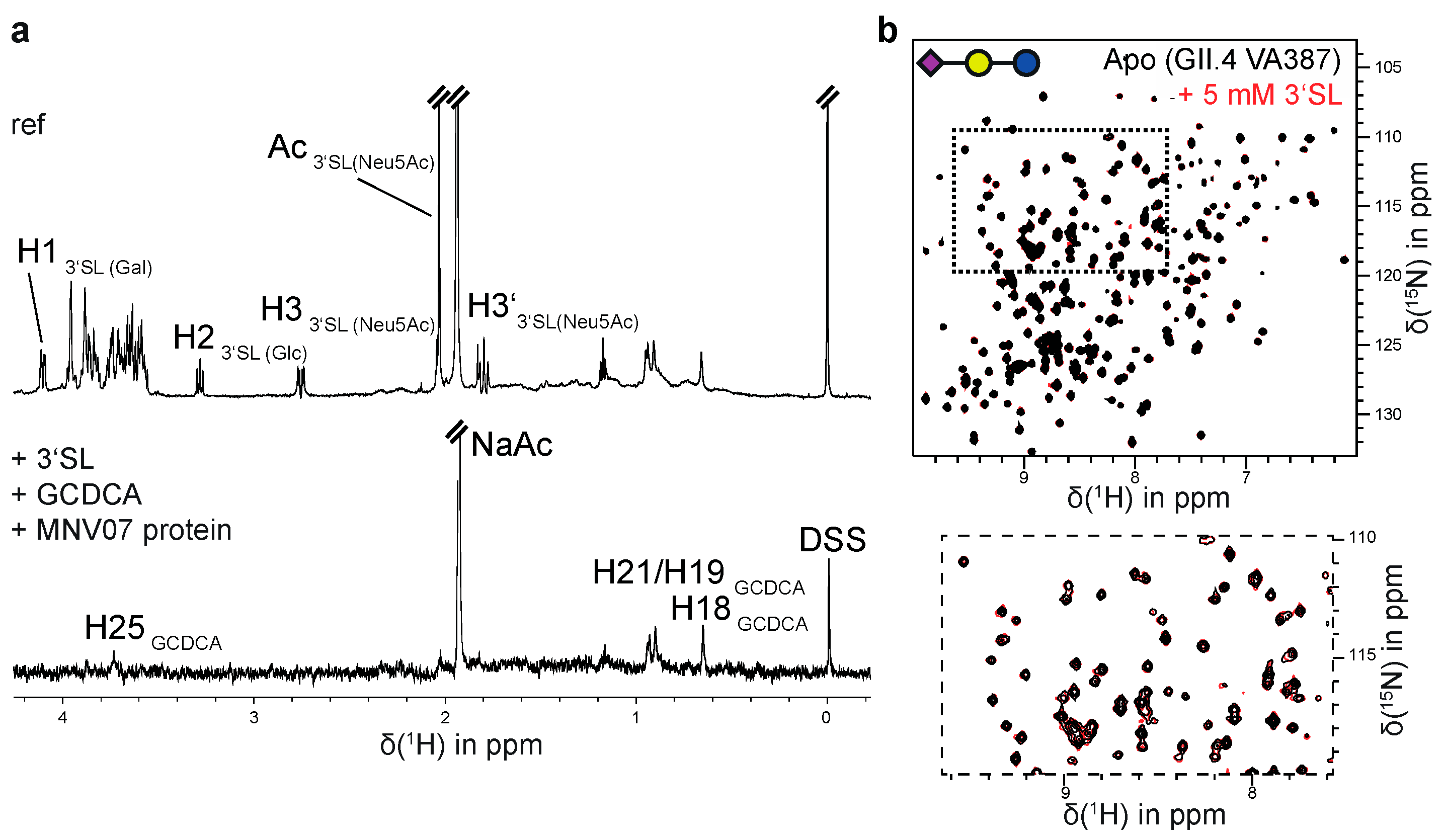 Viruses 13 00416 g004