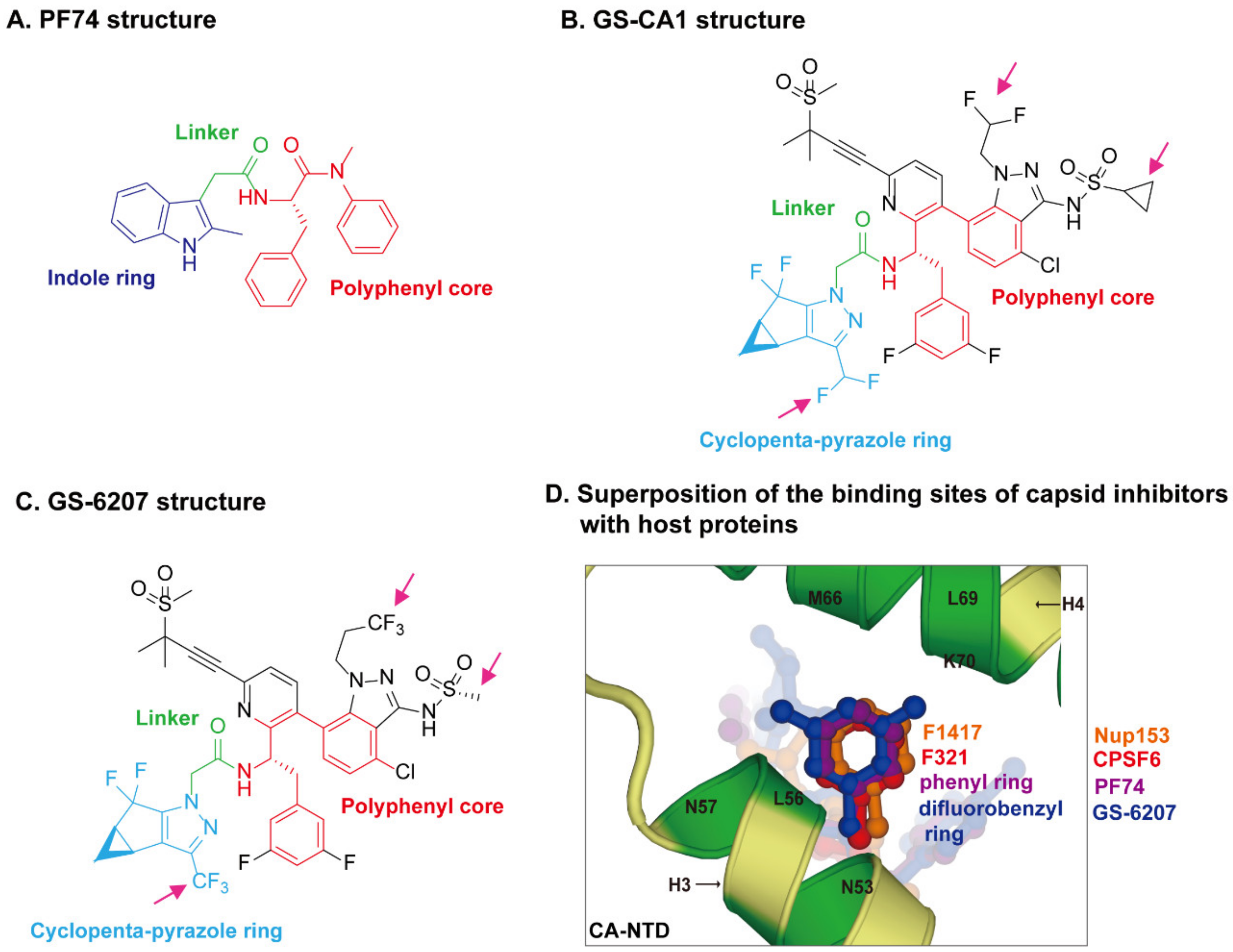 Viruses 13 00417 g003