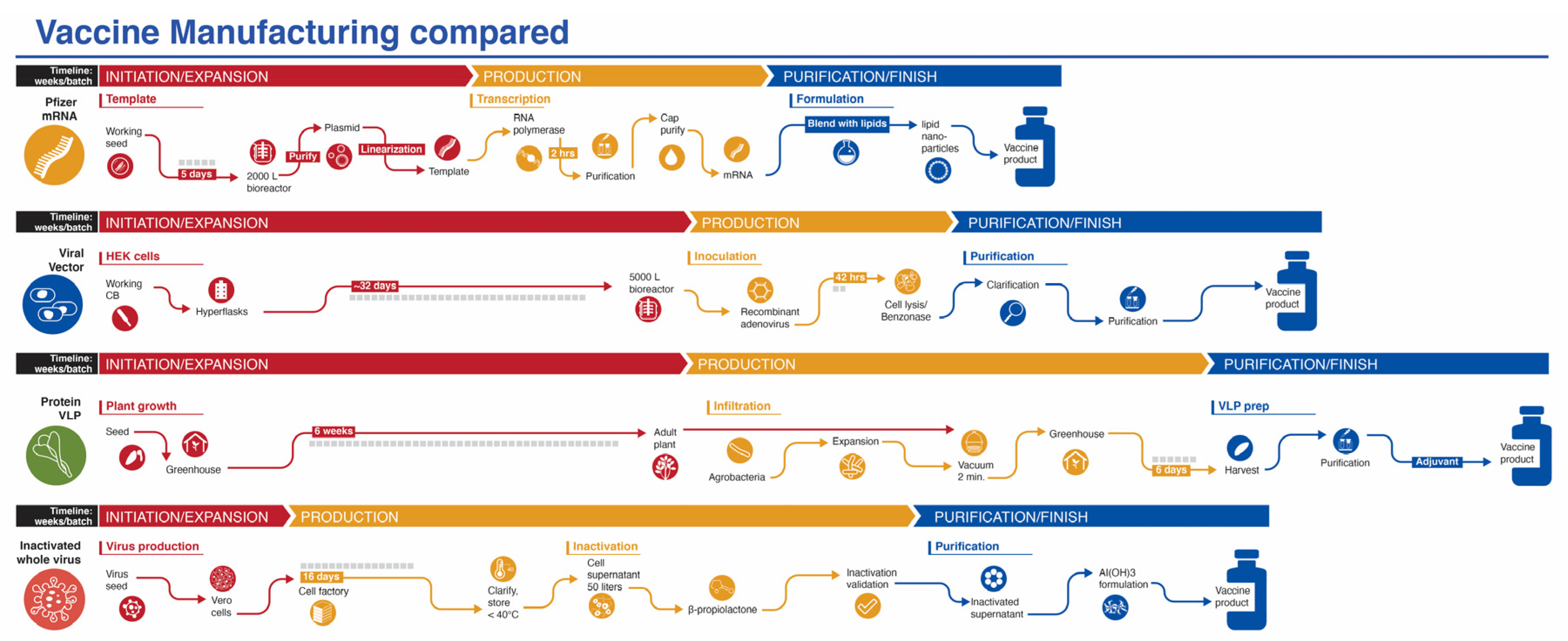 Viruses 13 00418 g003