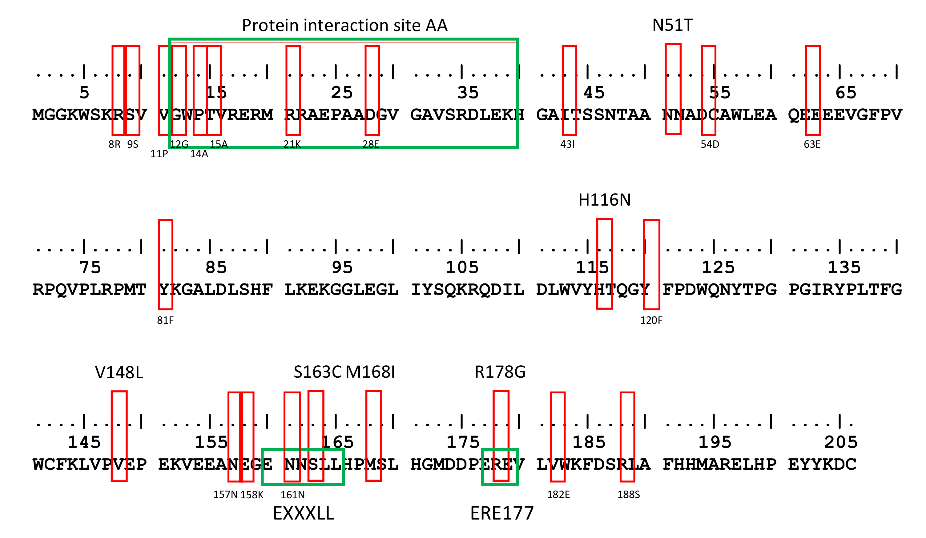 Viruses 13 00423 g001