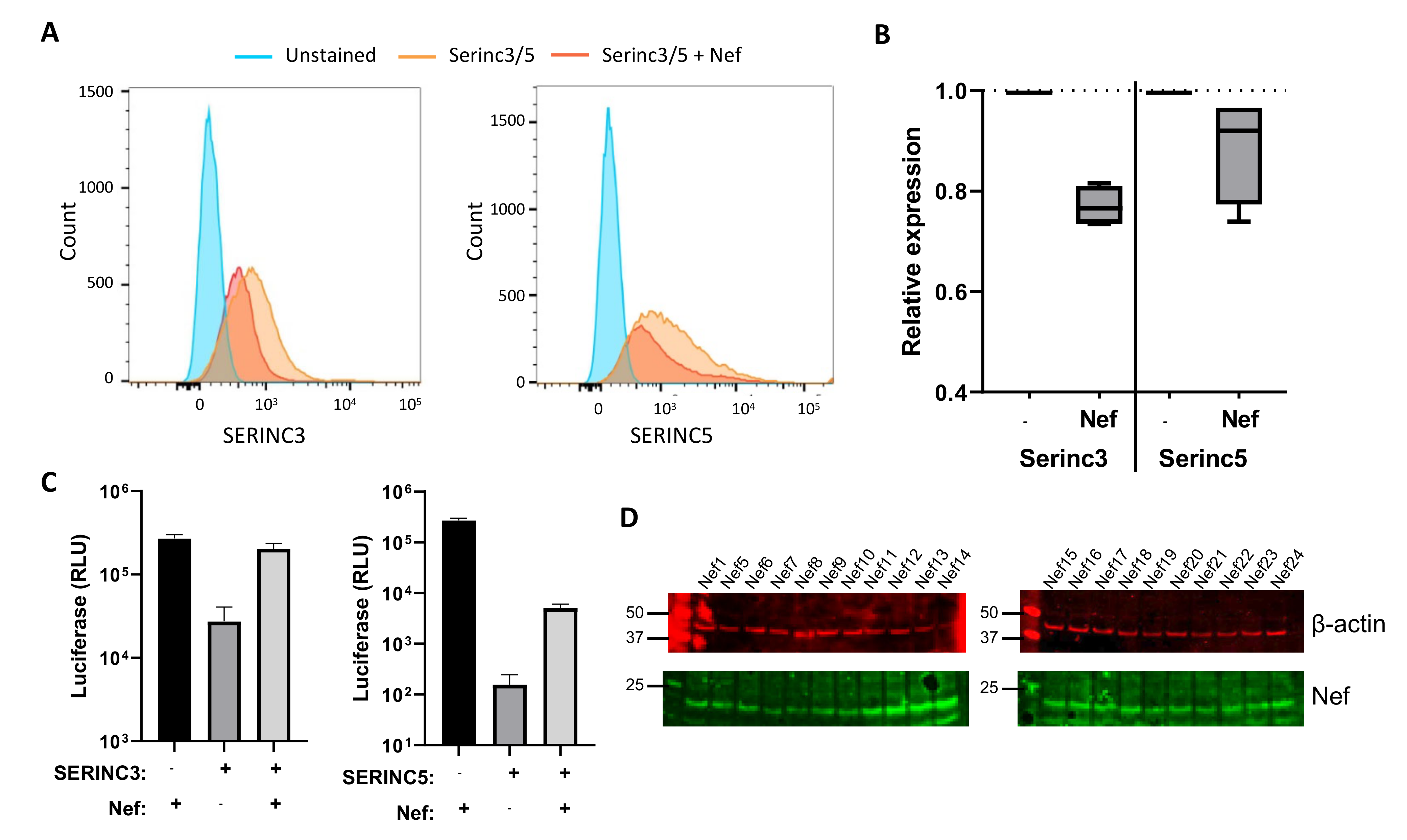 Viruses 13 00423 g002