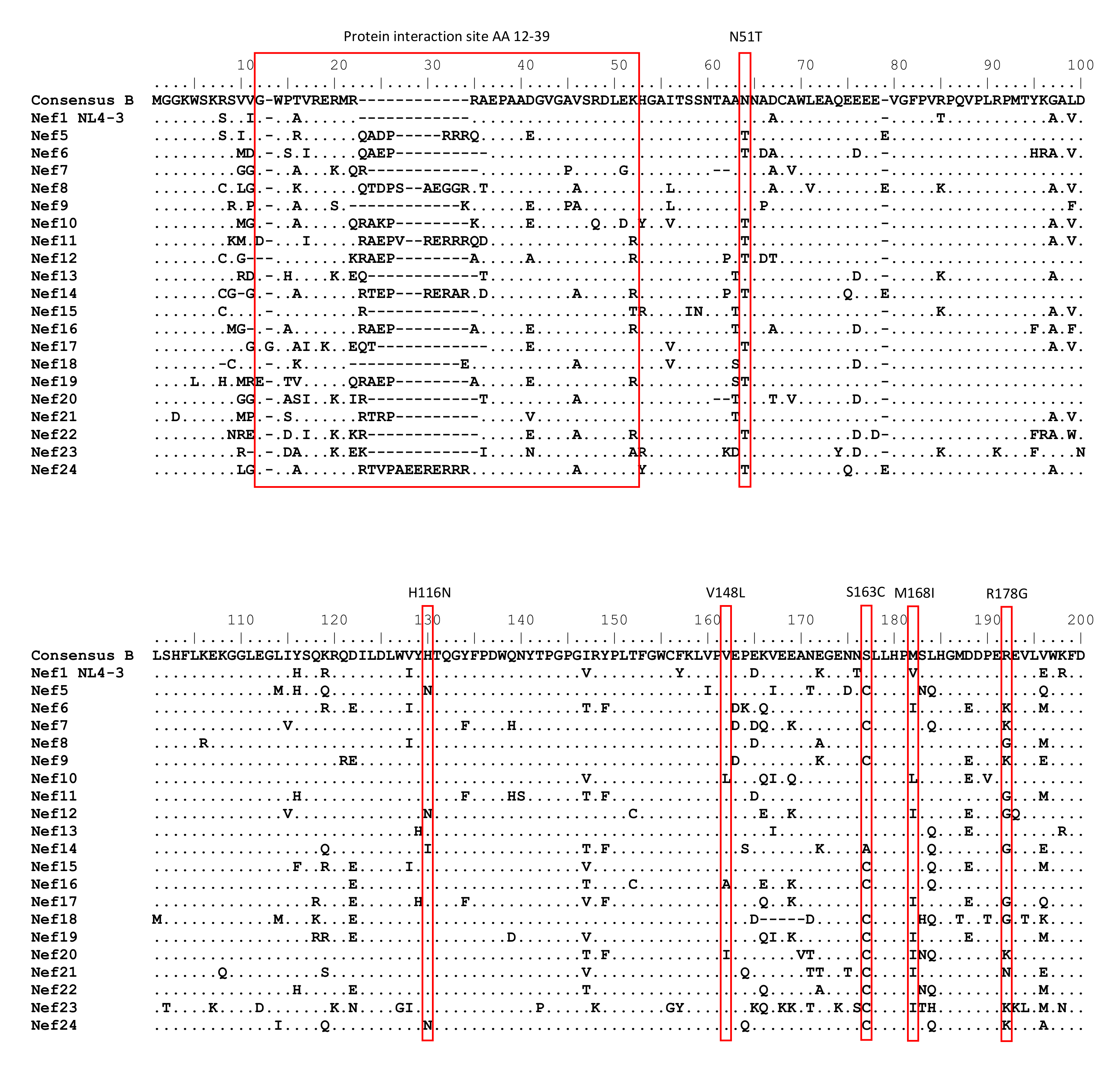 Viruses 13 00423 g003a