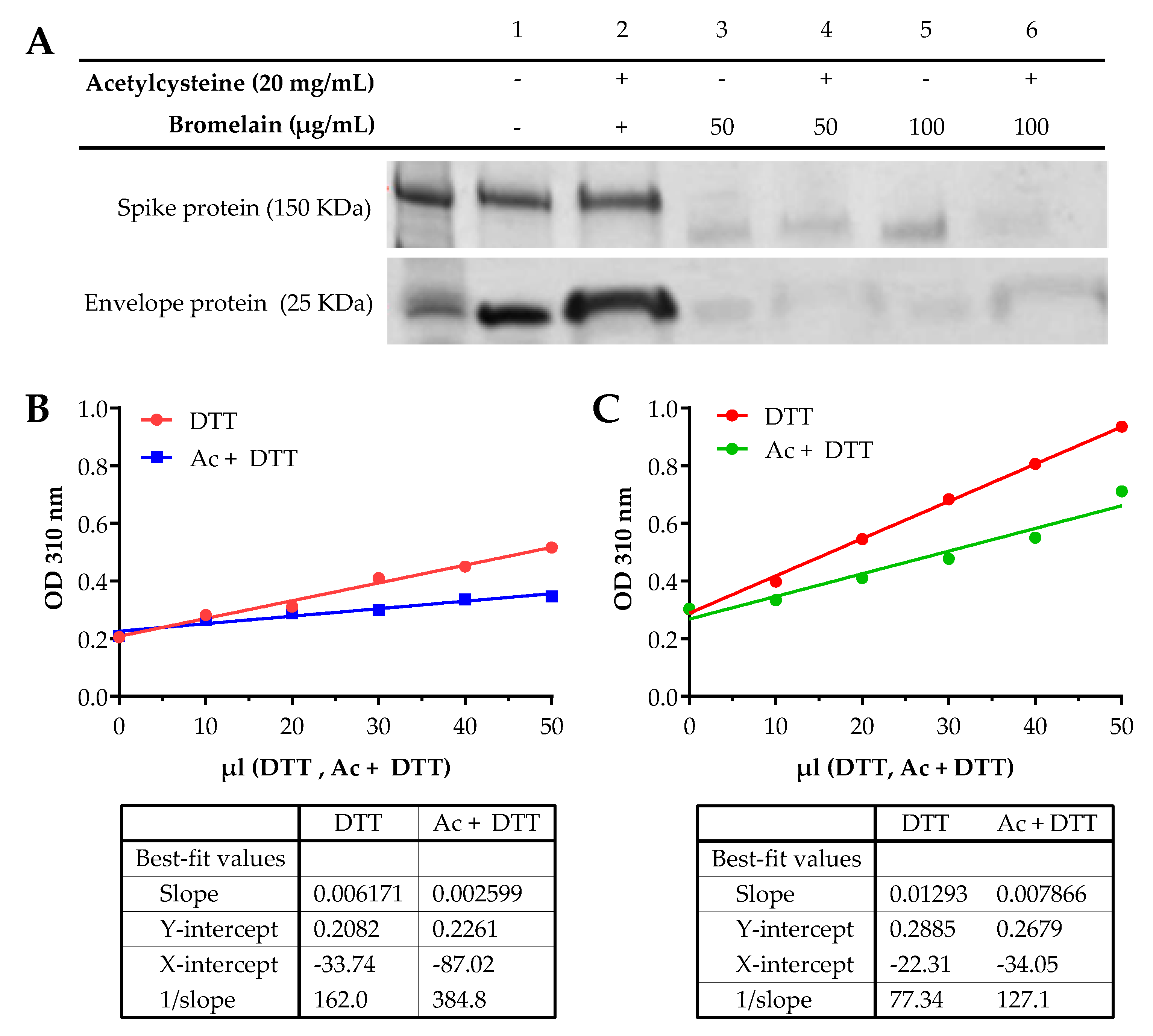 Viruses 13 00425 g001