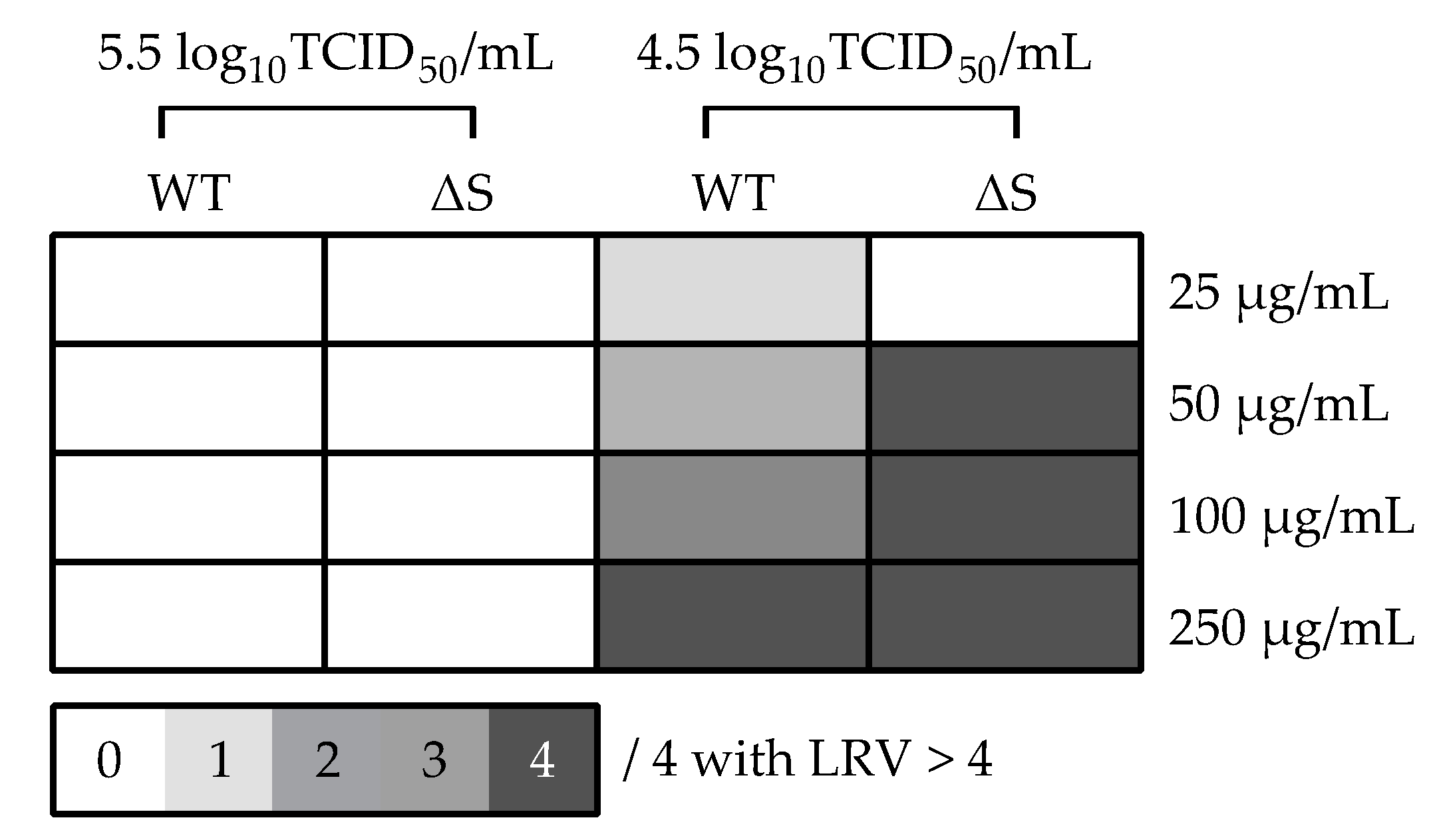 Viruses 13 00425 g003