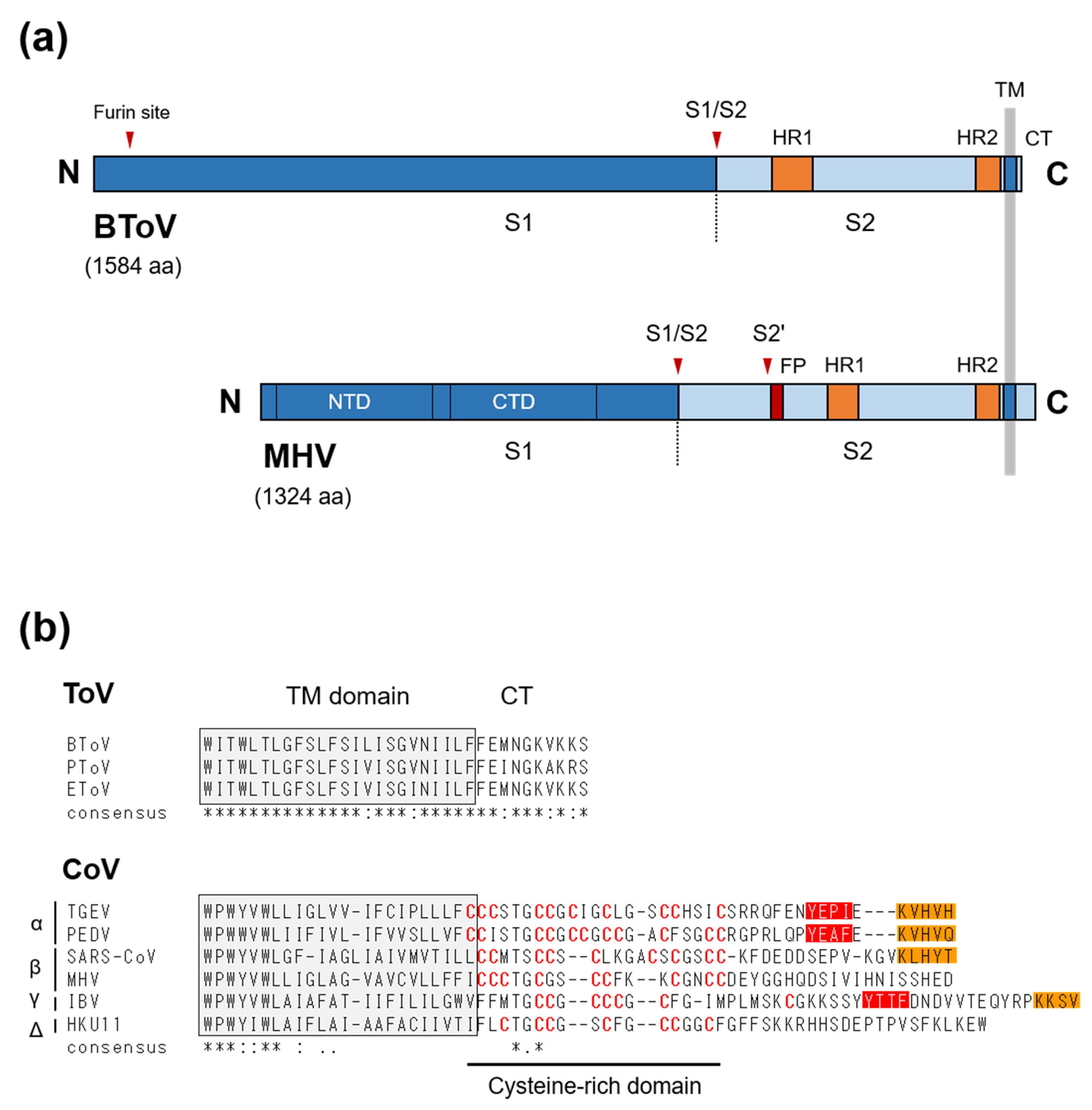 Viruses 13 00435 g005
