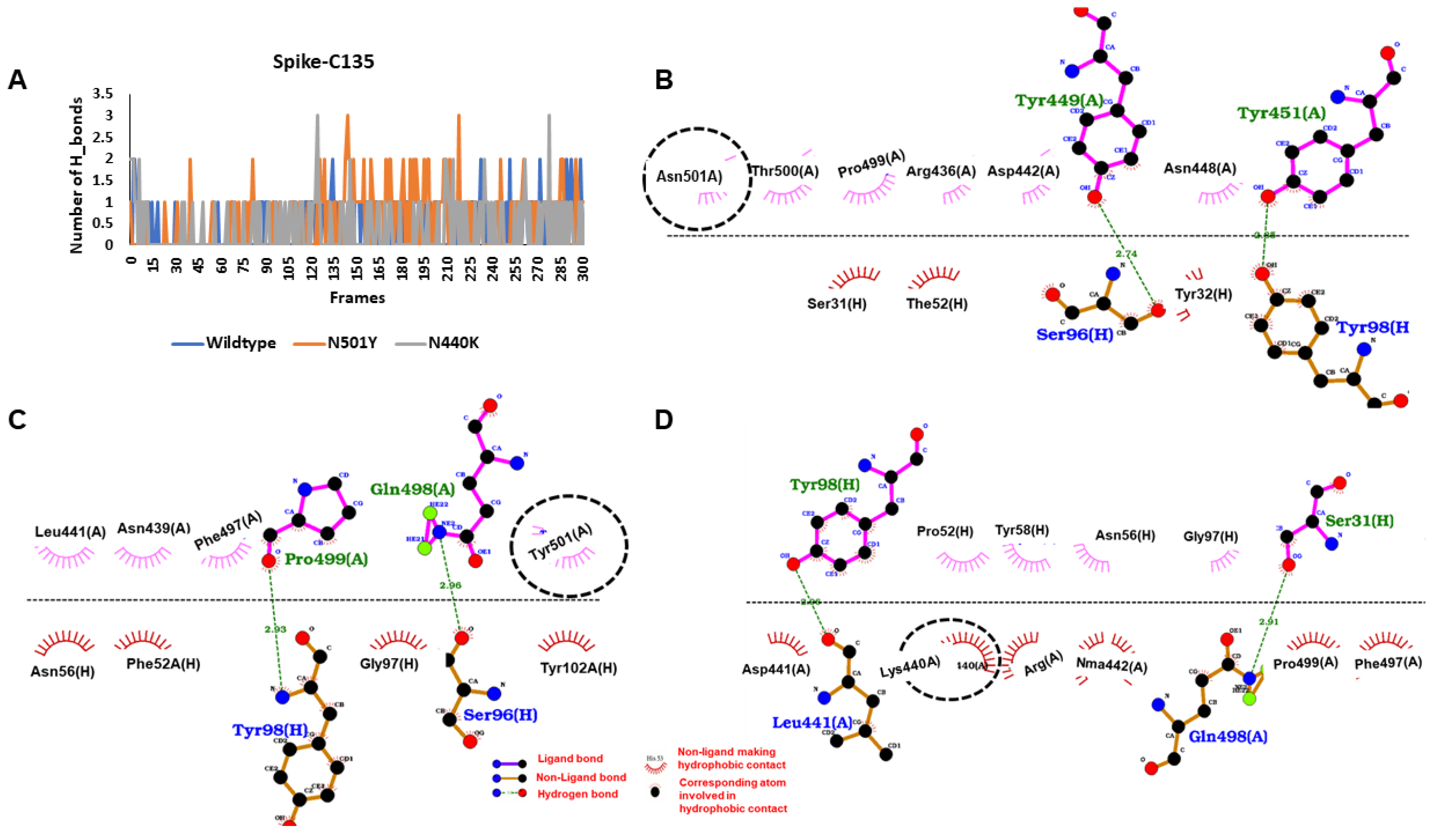 Viruses 13 00439 g003