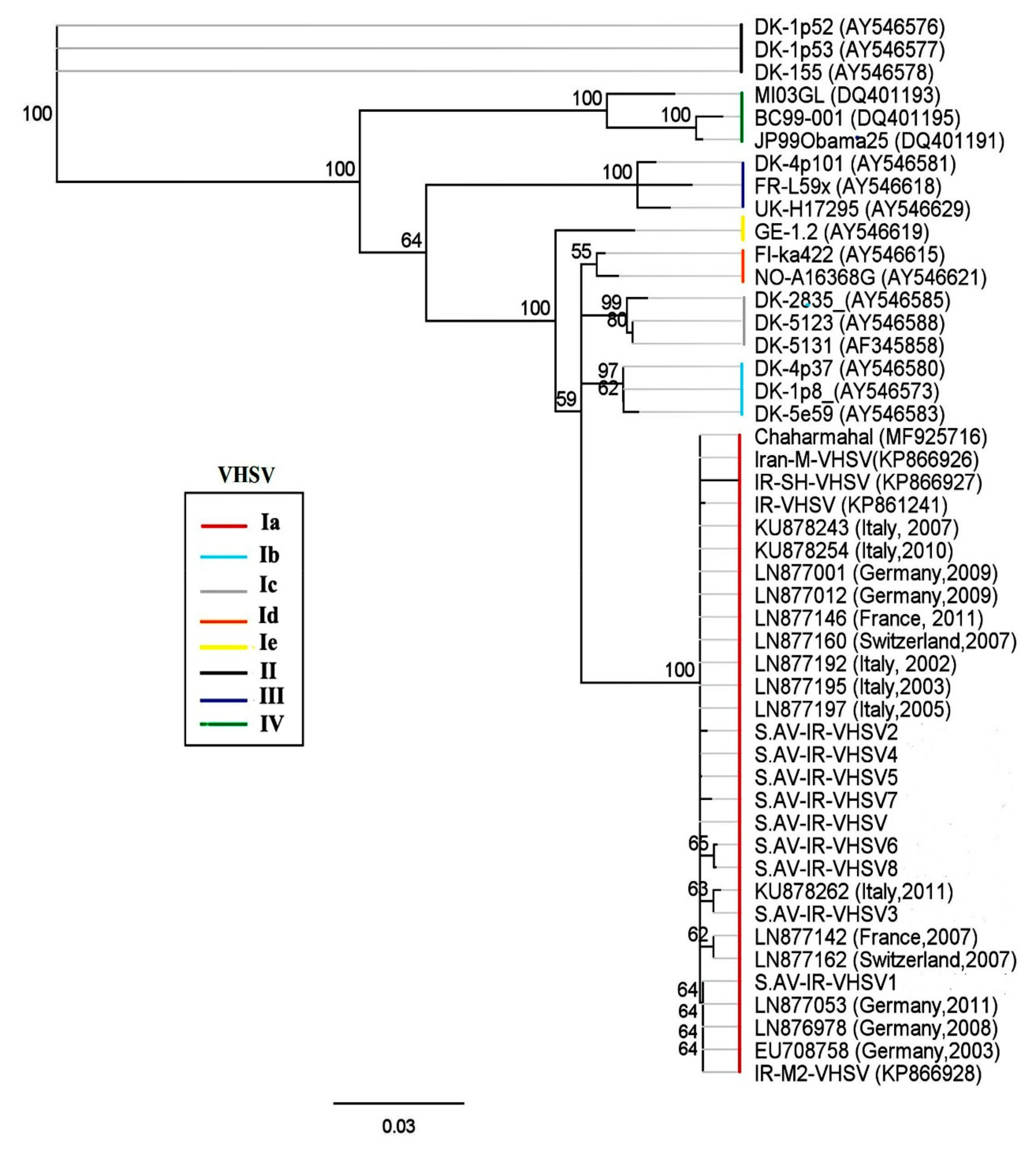 Viruses 13 00448 g002