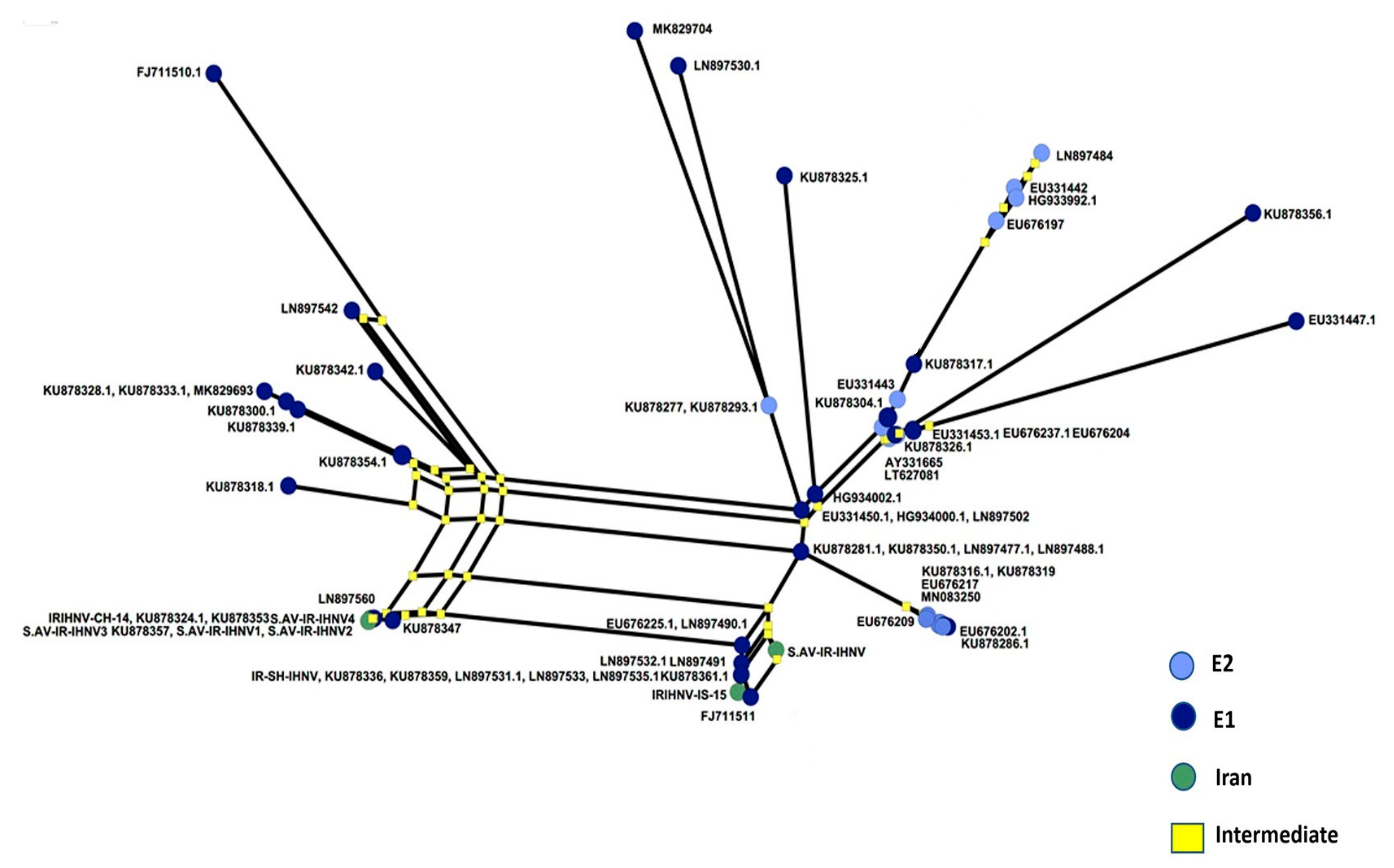 Viruses 13 00448 g005