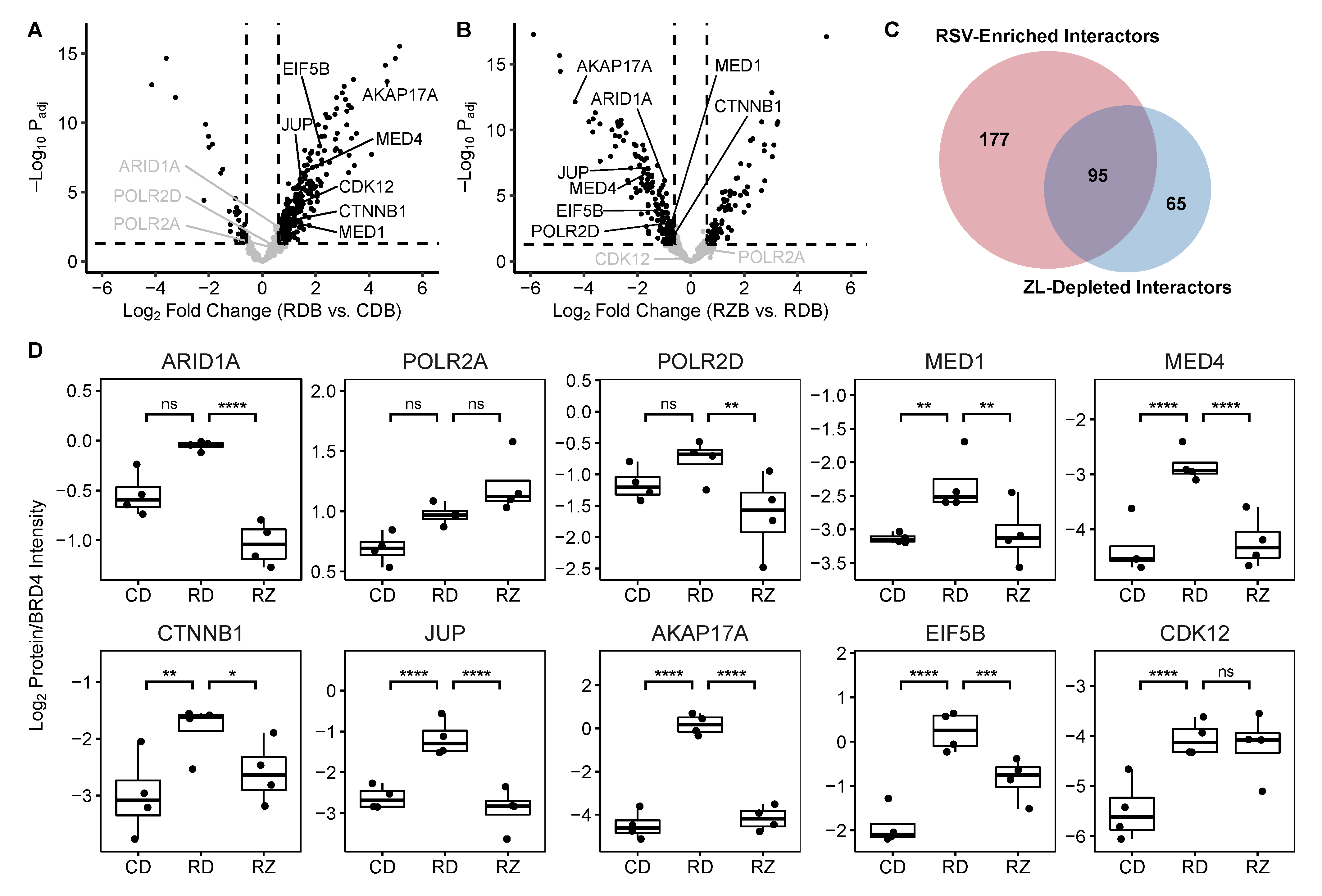 Viruses 13 00454 g005 Viruses 13 00454 g005