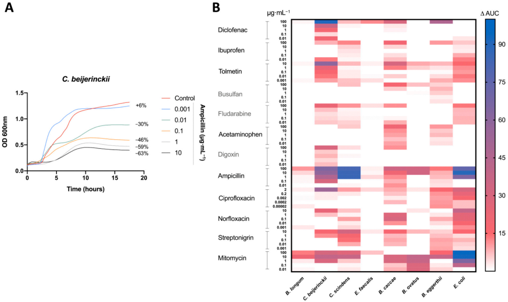 Viruses 13 00455 g001