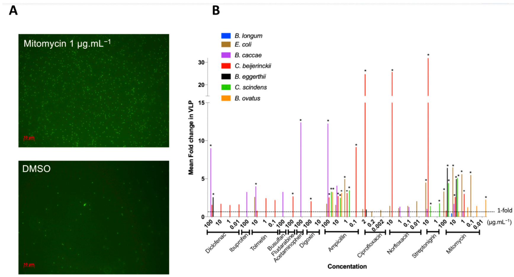 Viruses 13 00455 g002