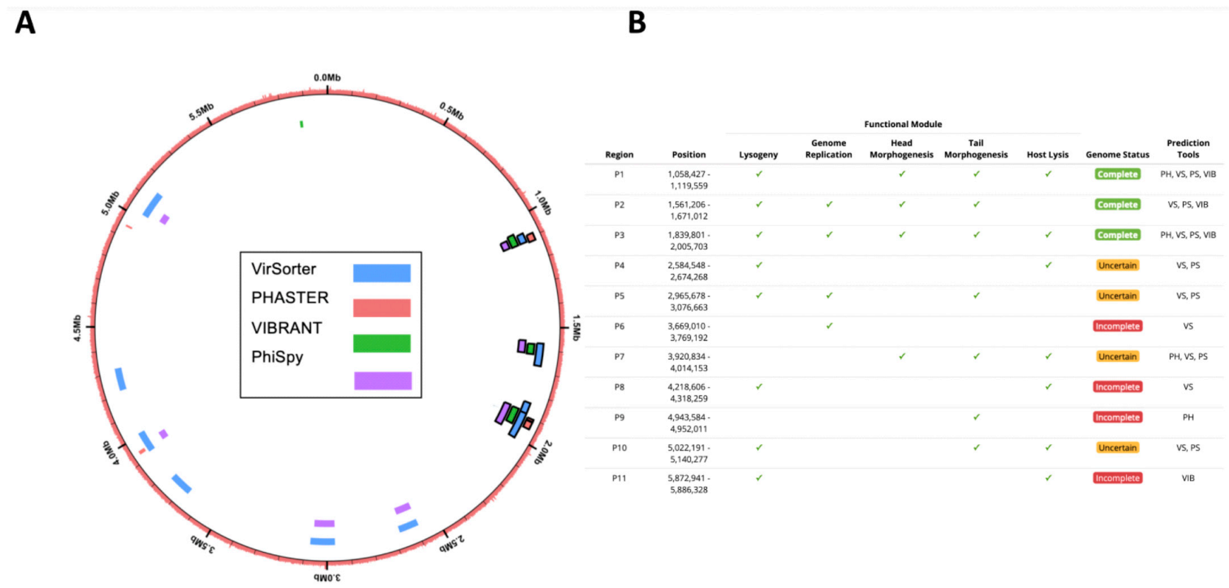 Viruses 13 00455 g003