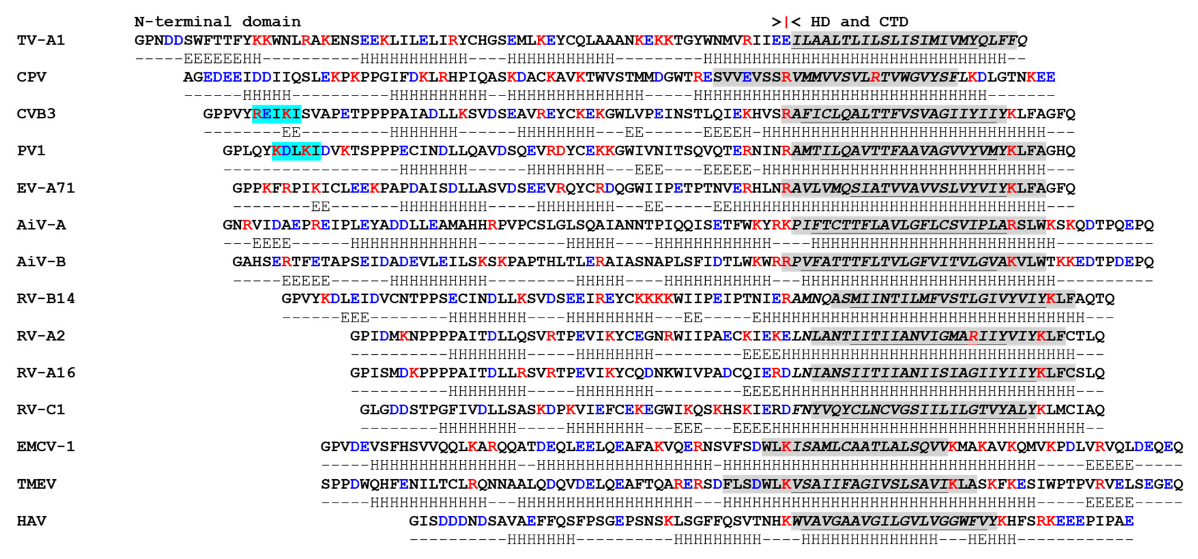 Viruses 13 00456 g001