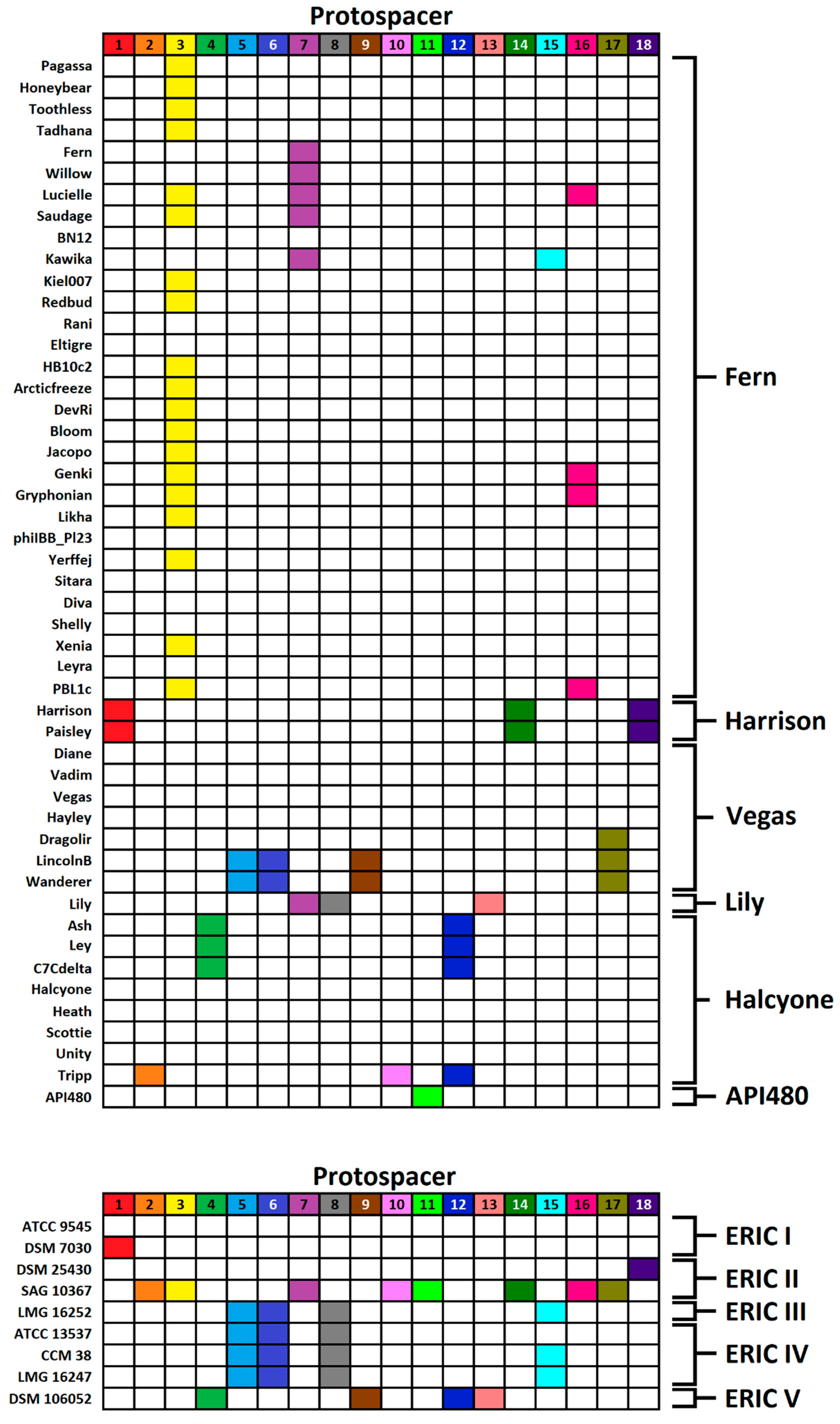Viruses 13 00459 g002
