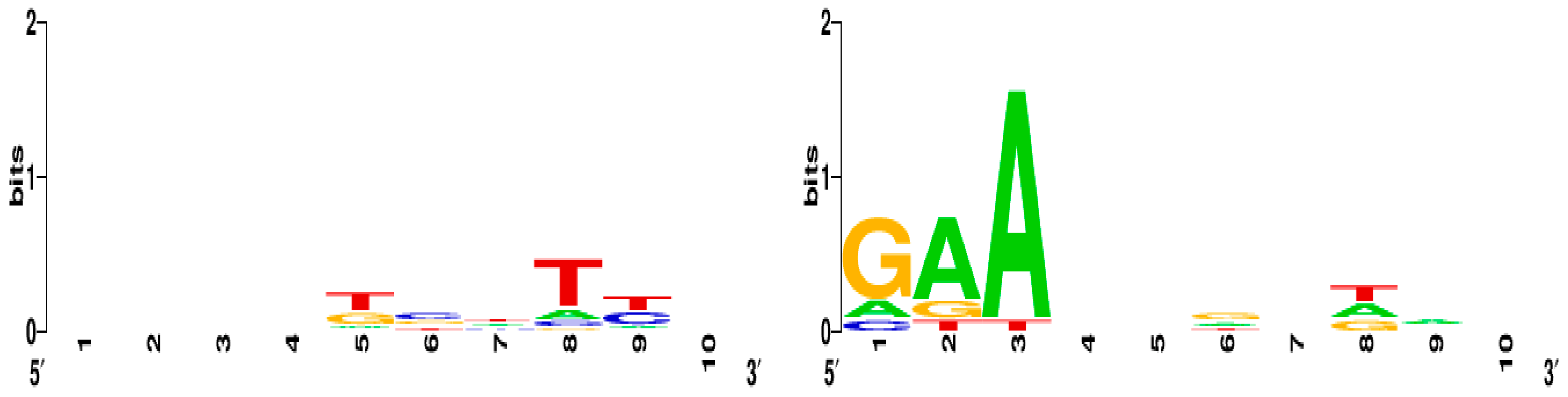 Viruses 13 00459 g003