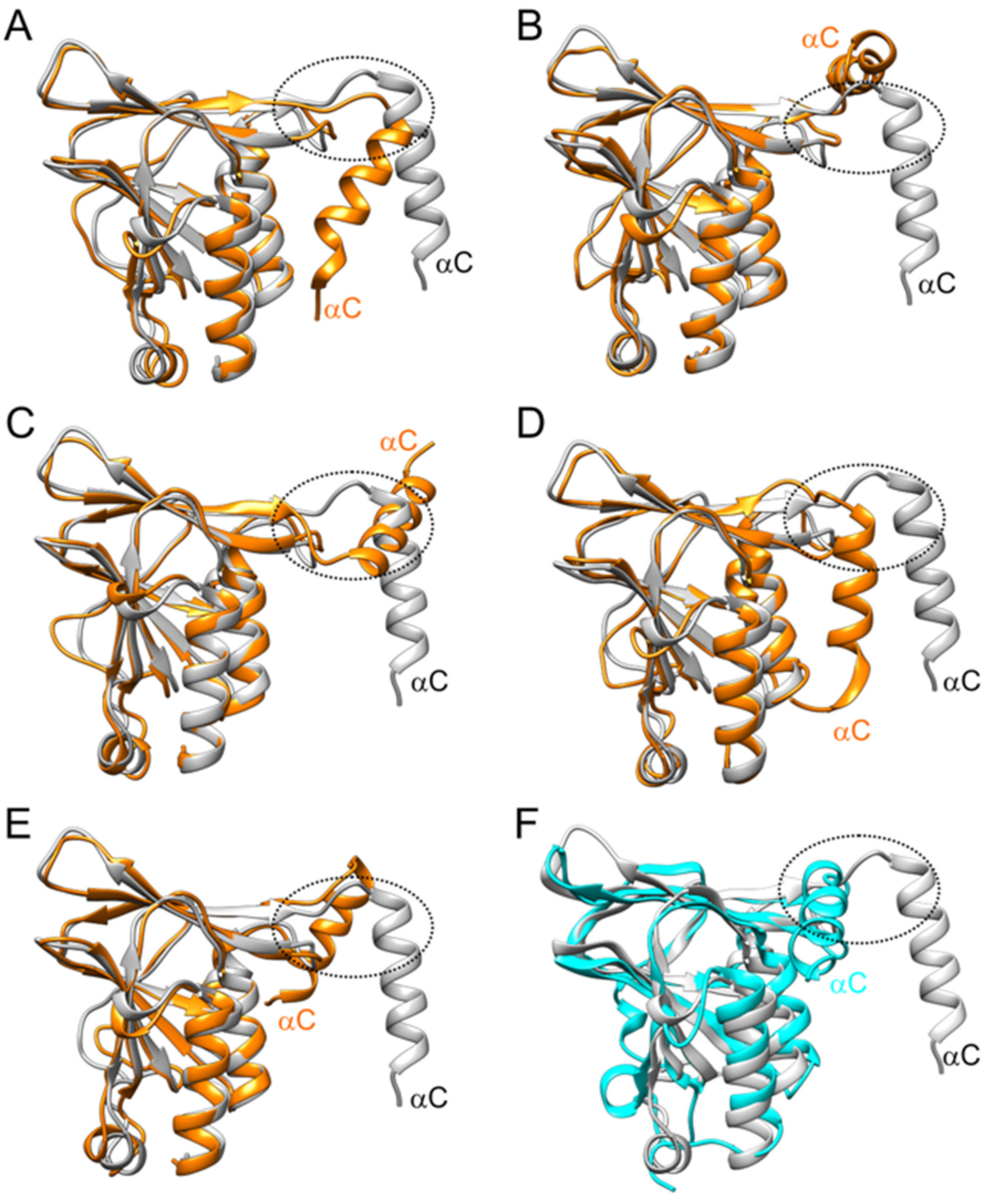 Viruses 13 00462 g006