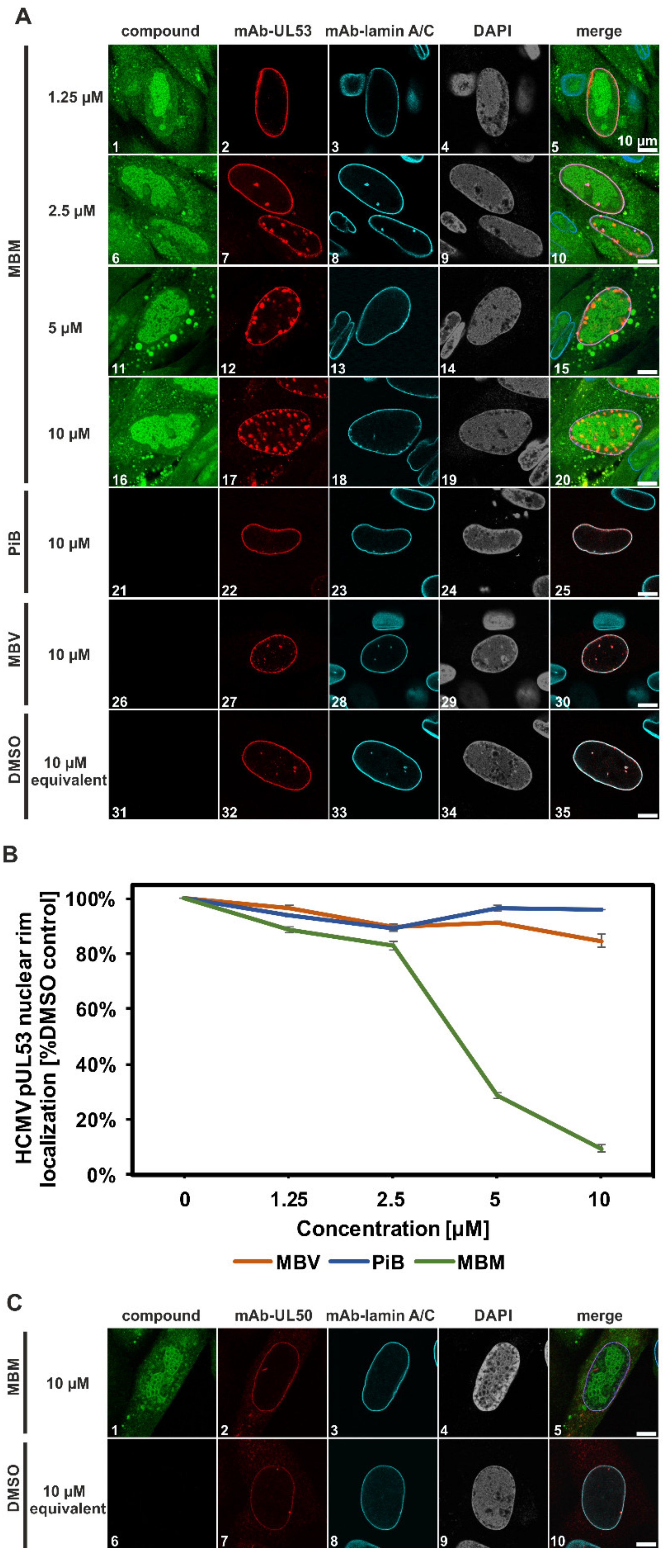 Viruses 13 00462 g008