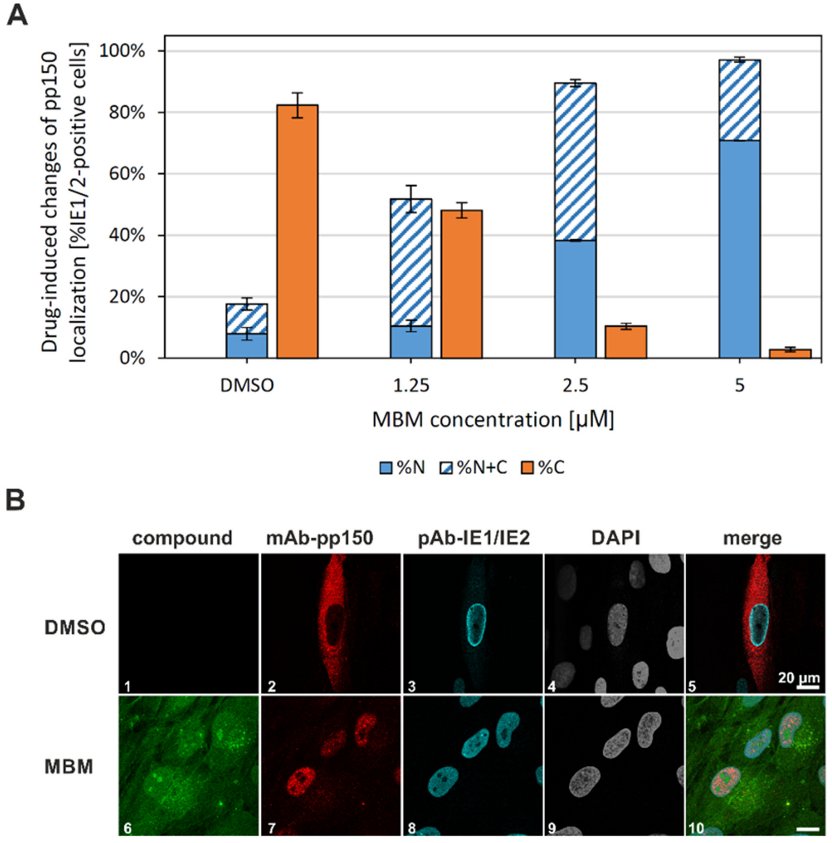 Viruses 13 00462 g009