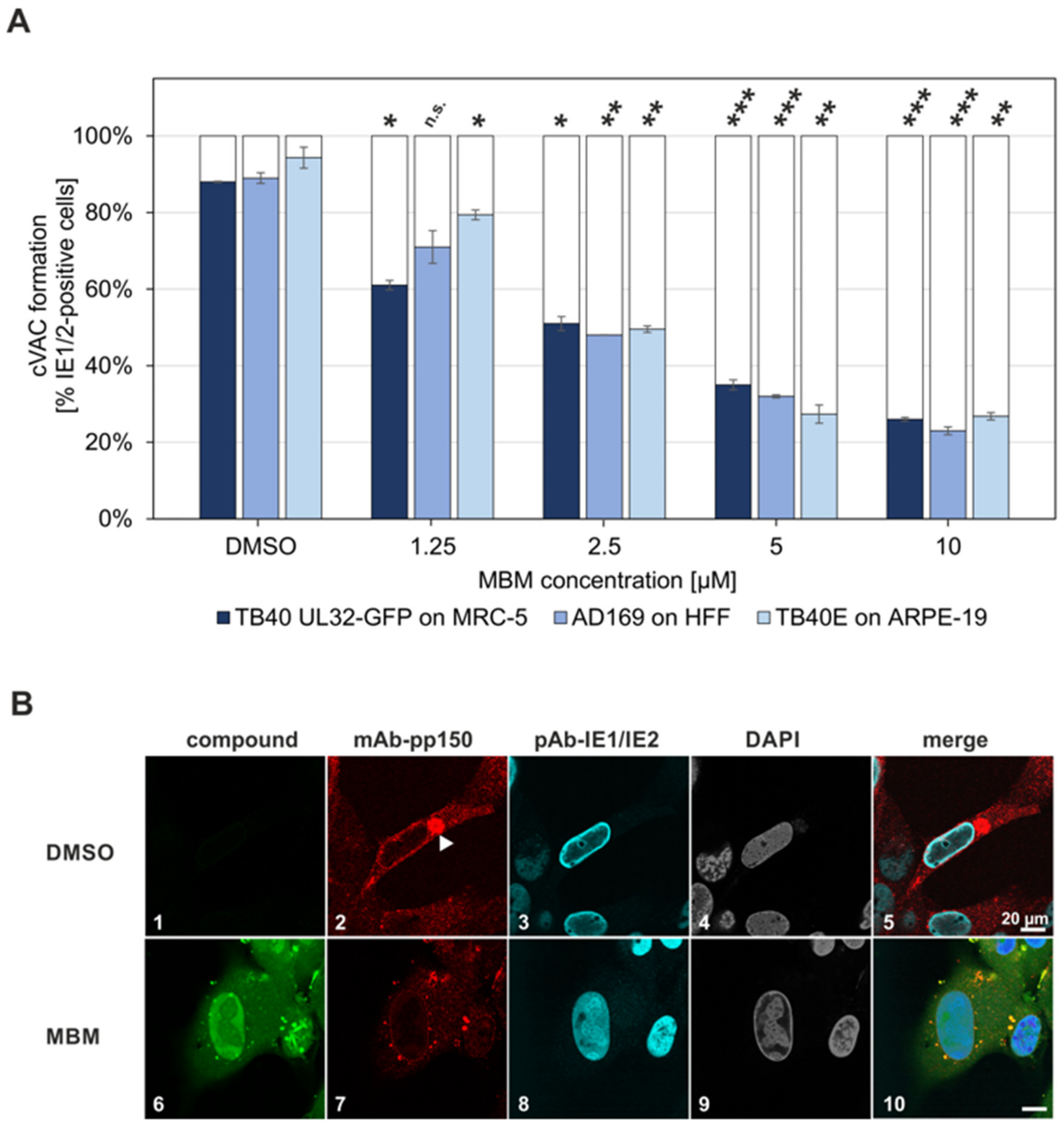 Viruses 13 00462 g010