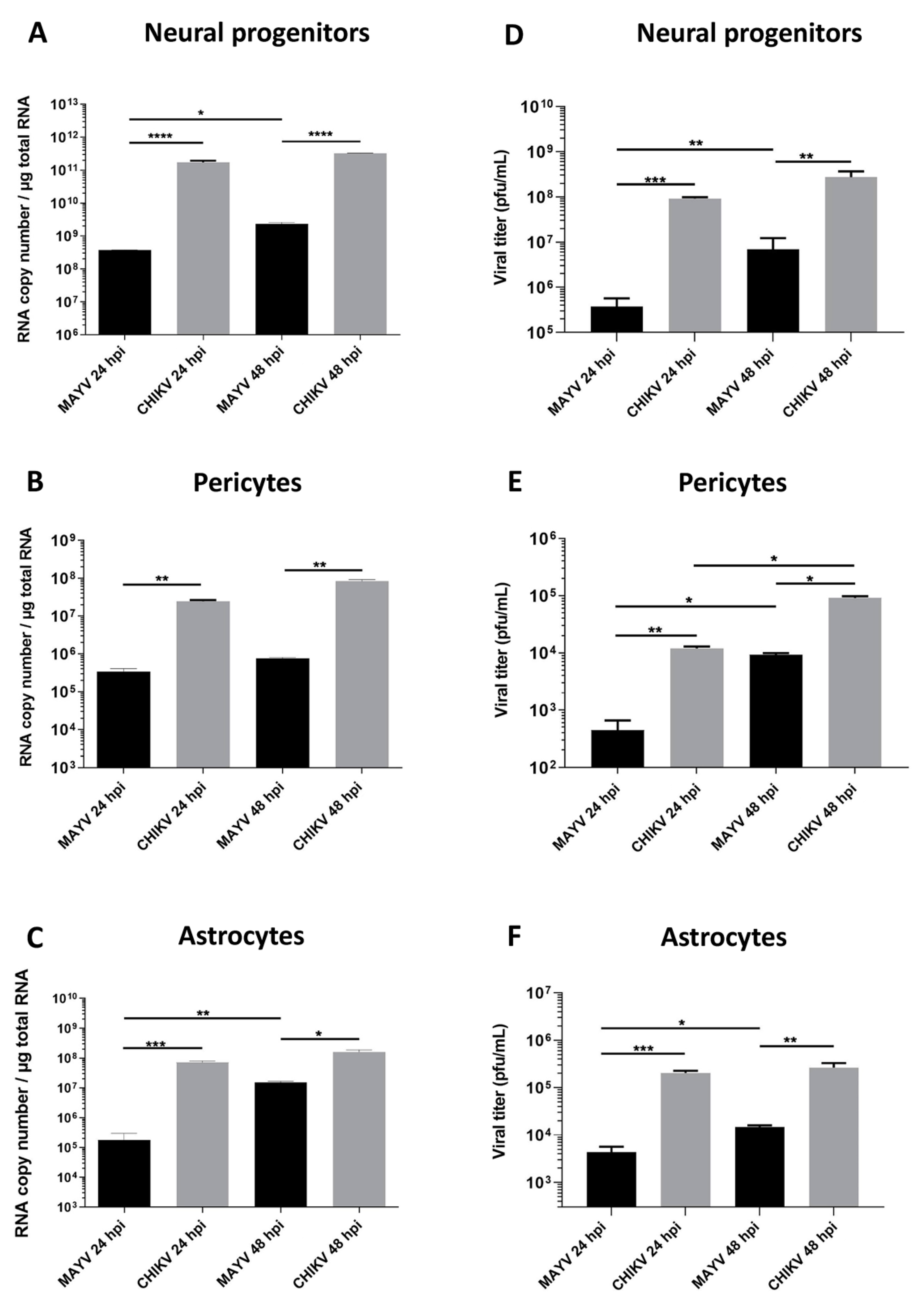 Viruses 13 00465 g001